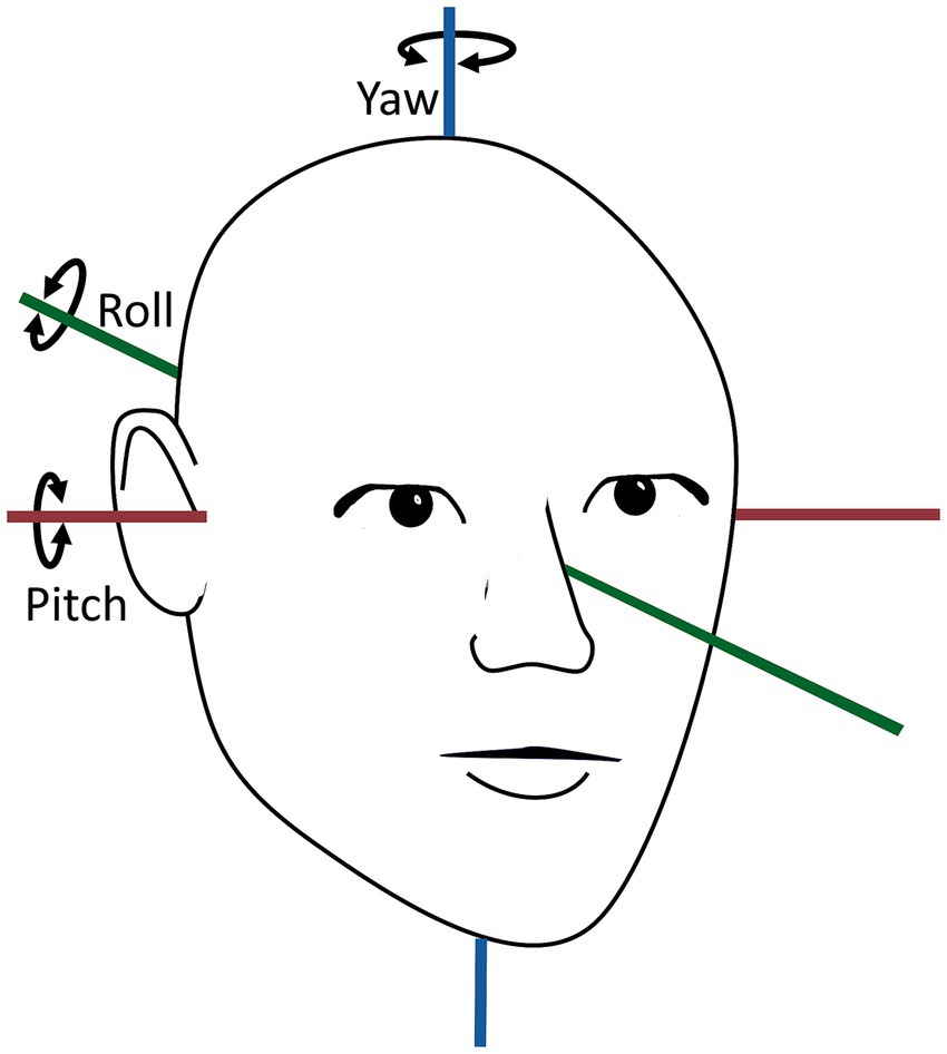 Diagram of a head illustrating the three rotational axes: yaw, pitch, and roll. Yaw is shown as a vertical blue axis through the head, pitch as a horizontal red axis through the ears, and roll as a diagonal green axis through the nose.
