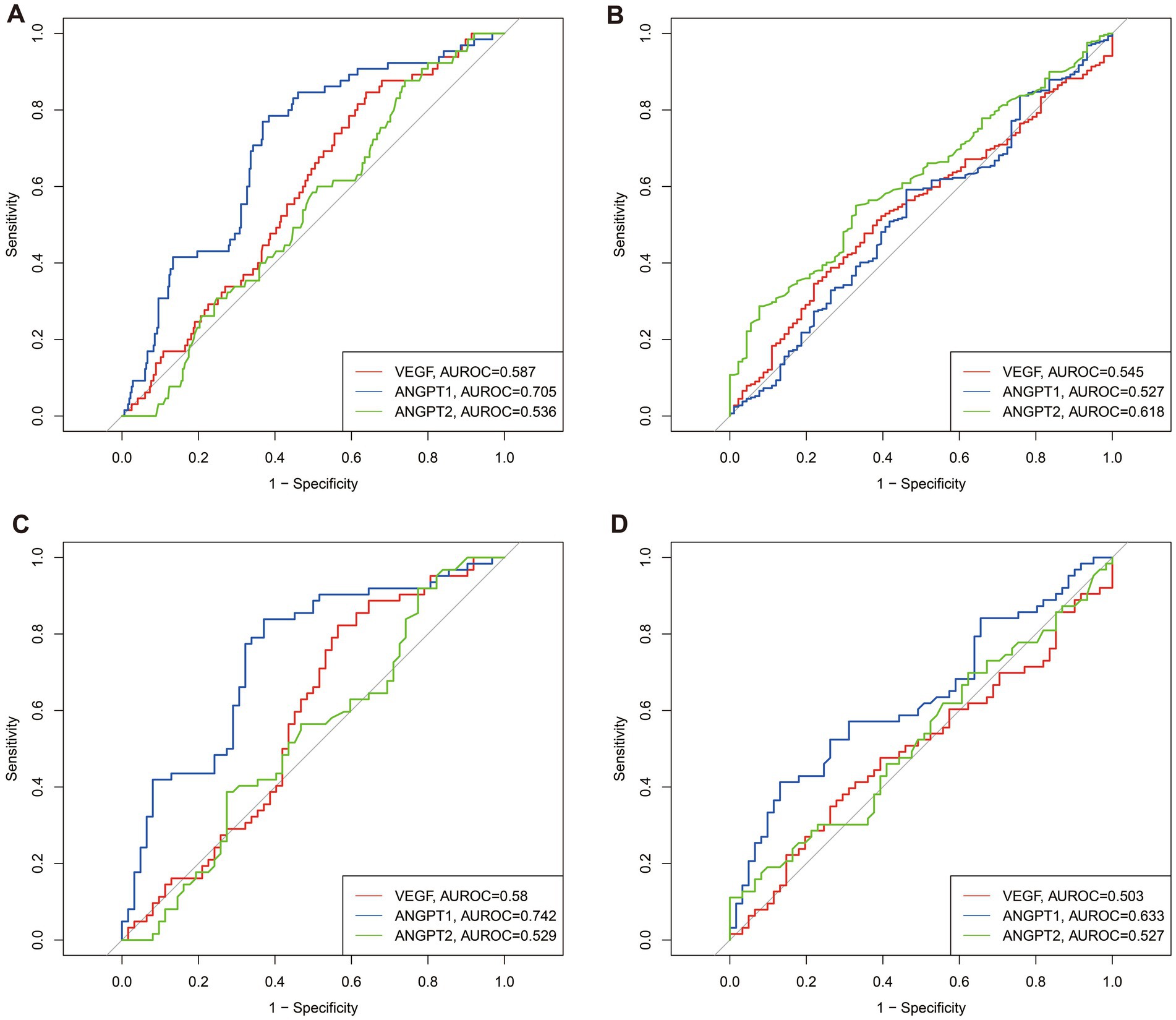 Four ROC curve graphs labeled A, B, C, and D, each showing the performance of VEGF, ANGPT1, and ANGPT2 with AUROC values. A: VEGF 0.587, ANGPT1 0.705, ANGPT2 0.536; B: VEGF 0.545, ANGPT1 0.527, ANGPT2 0.618; C: VEGF 0.580, ANGPT1 0.742, ANGPT2 0.529; D: VEGF 0.503, ANGPT1 0.633, ANGPT2 0.527. Each curve plots sensitivity against one minus specificity.