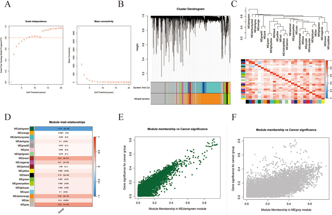 Panel A shows two plots for scale independence and mean connectivity versus soft threshold. Panel B is a cluster dendrogram with dynamic tree cut and merged dynamic colors. Panel C includes a hierarchical cluster tree and heatmap showing module-trait relationships. Panel D is a heatmap titled