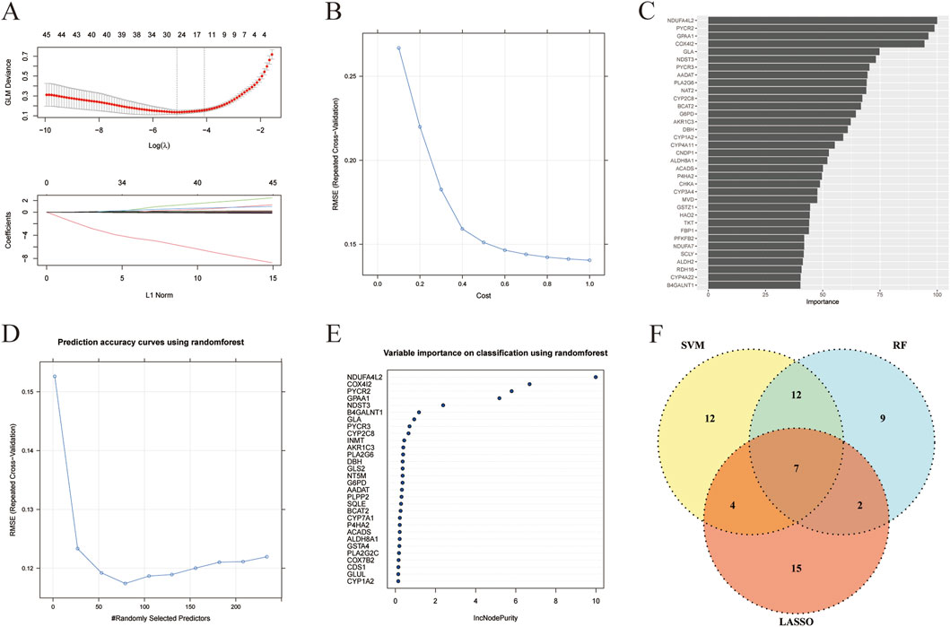 Chart set depicting machine learning model evaluations: A shows a binomial deviance curve and coefficient paths for LASSO; B depicts a cost versus RMSE plot for model performance; C highlights variable importance in a bar chart; D presents prediction accuracy using random forest with RMSE versus predictors; E illustrates variable importance via random forest using IncNodePurity; F displays a Venn diagram comparing SVM, RF, and LASSO model selections with overlapping and unique features.