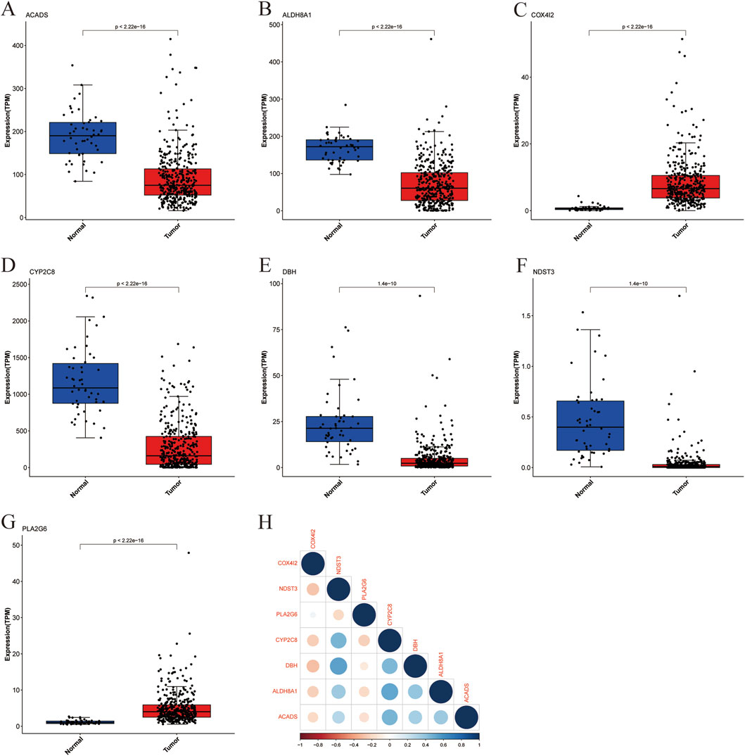 Box plots (A-G) compare gene expression levels between normal and tumor samples for ACAD5, ALDH4A1, COX4I2, CYP2C8, DBH, NDST3, and PLA2G6, with significant p-values. Plot H is a correlation matrix for these genes, indicating positive and negative correlations with varying circle sizes and colors.