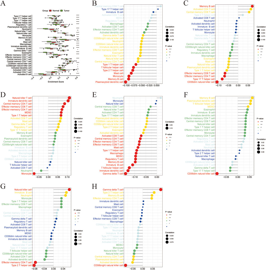 Eight-panel figure analyzing immune cell infiltration in normal vs. tumor tissues. Panel A is a bar chart showing enrichment scores for various cell types. Panels B to H are dot plots showing correlations and significance of immune cell types with tumorigenesis and normal conditions, differentiated by color and dot size indicating correlation strength and P-value.