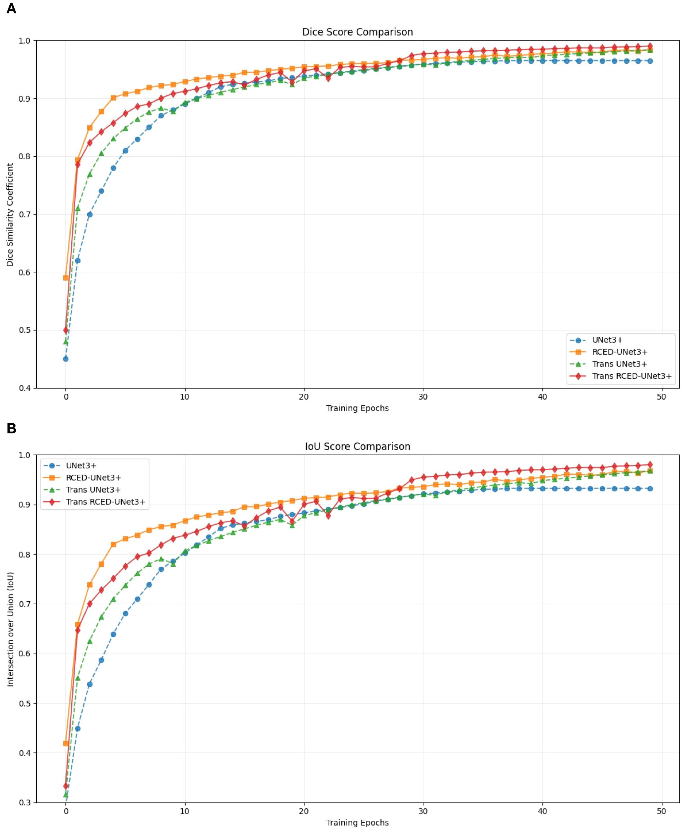 Graph A displays the Dice Score Comparison for four models: UNet3+, RCED-UNet3+, Trans UNet3+, and Trans RCED-UNet3+ over fifty training epochs. The y-axis shows the Dice Similarity Coefficient ranging from 0.4 to 1.0. Graph B illustrates IoU Score Comparison with the same models and epochs, measuring Intersection over Union from 0.3 to 1.0. Both graphs show models converging towards higher scores with increasing epochs, with RCED-UNet3+ and Trans RCED-UNet3+ performing better overall.