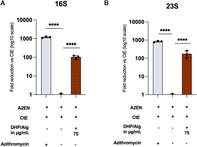 Charts A and B show fold reductions in 16S and 23S versus CtE on a log scale. Both charts display significant differences marked by asterisks. Bars represent treatment conditions: A2EN, CtE, DHP/Alg at 75 micrograms per milliliter, and Azithromycin.