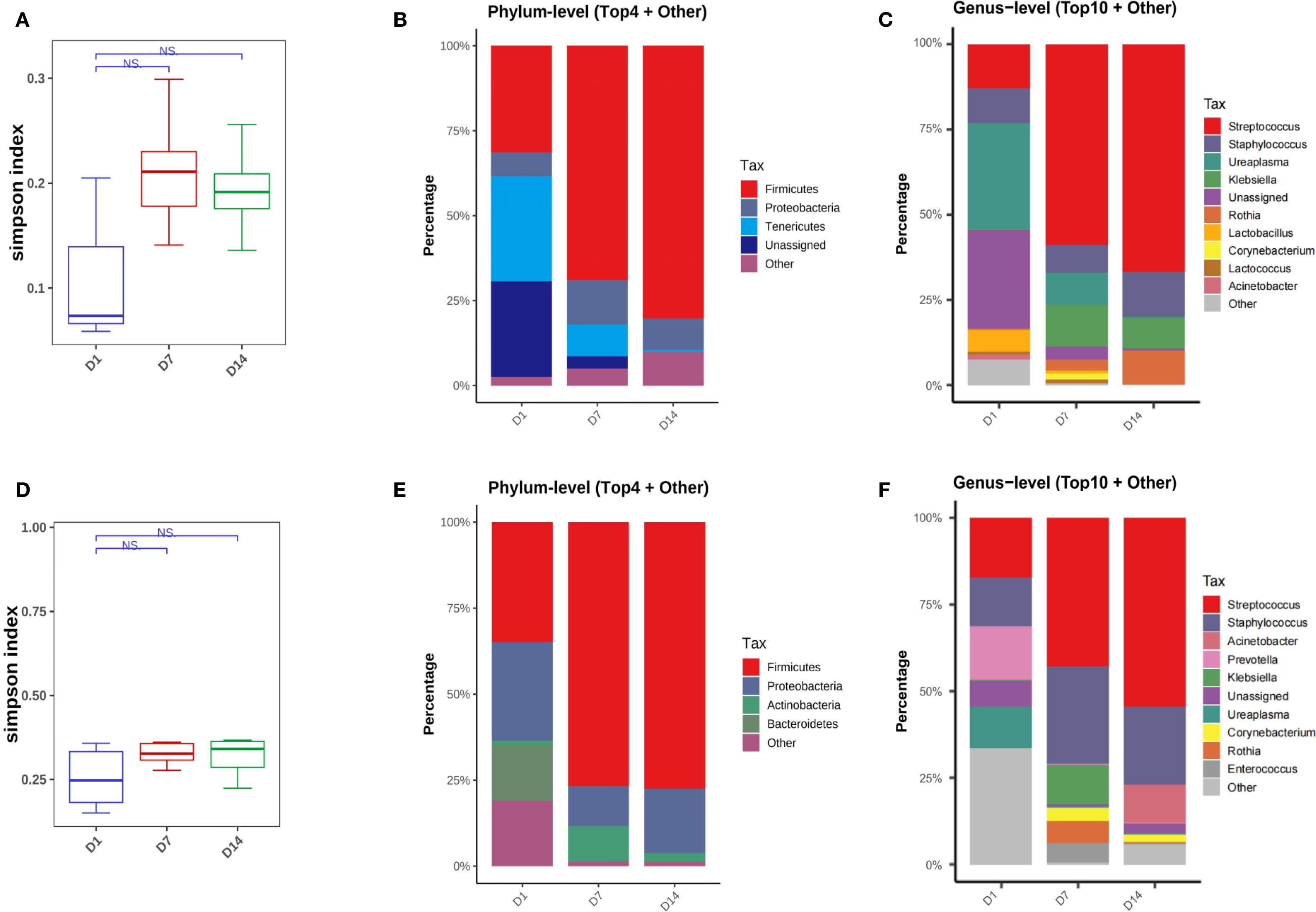 The image shows six graphs analyzing microbiome data. Graph A and D are box plots of the Simpson index over days one, seven, and fourteen, with no significant differences noted. Graphs B and E are stacked bar charts of the top four phyla and others, highlighting changes in microbial composition over time. Graphs C and F detail genus-level changes for the top ten genera and others, showing varied microbial distributions across the same time points. All graphs illustrate temporal shifts in microbiome diversity and composition.