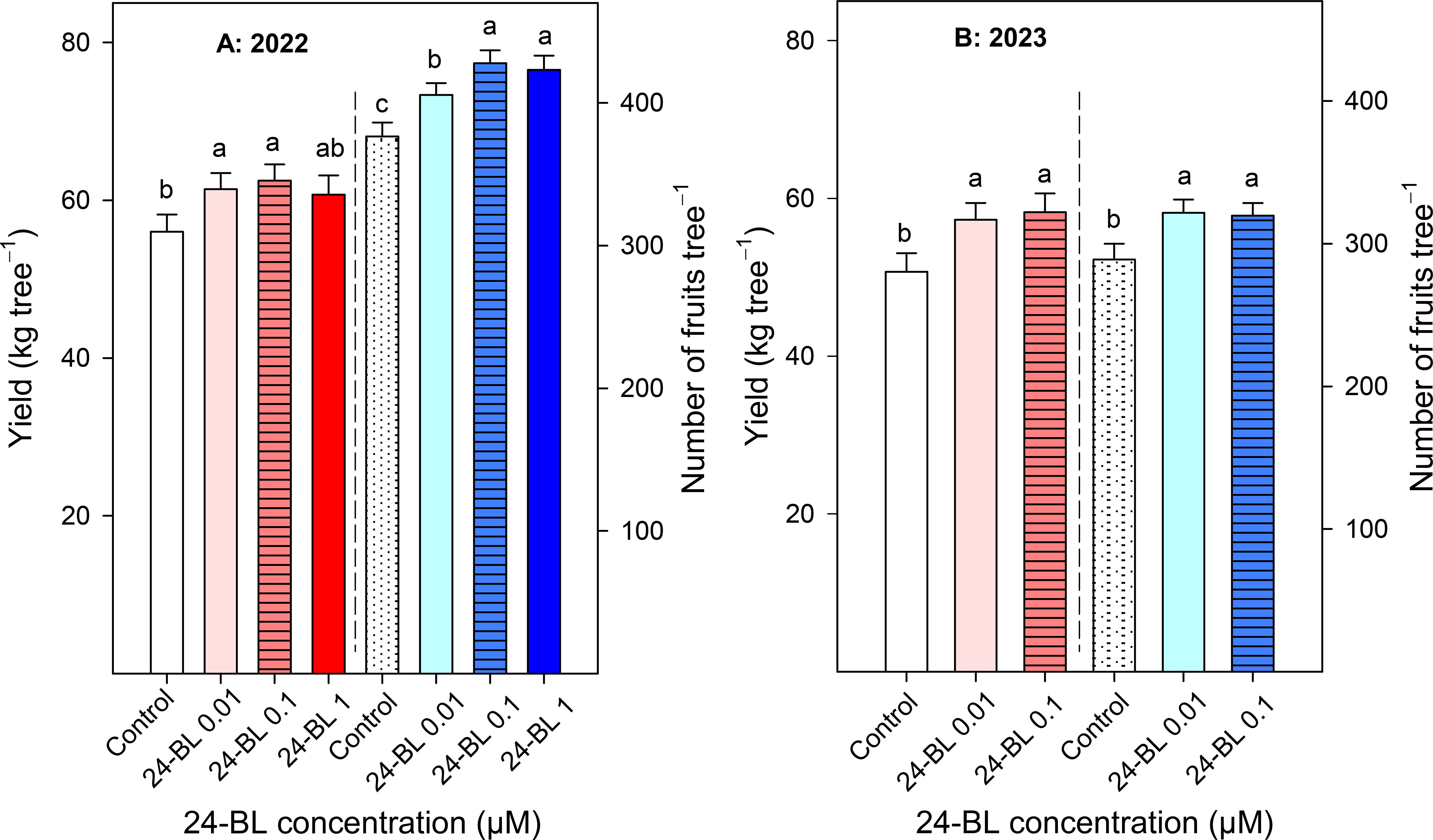 Bar graphs comparing fruit yield and number of fruits per tree with different treatments for 2022 and 2023. In 2022, yield ranges from approximately 60 to 80 kg per tree, with 24-BL treatments generally higher. In 2023, yield ranges from about 50 to 75 kg per tree, with consistent increases under 24-BL treatments. Error bars and statistical significance letters indicate variability and differences among treatments.