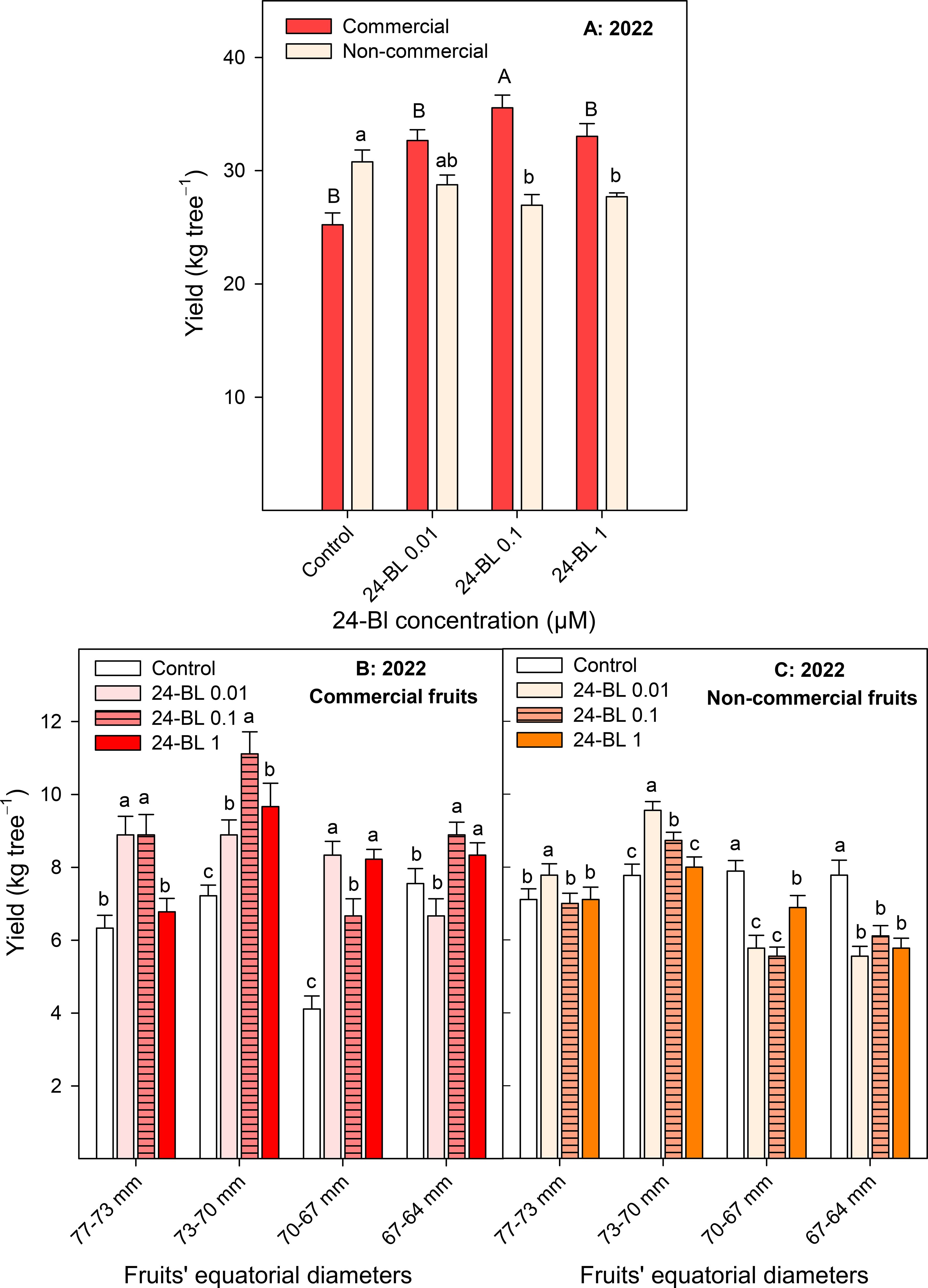 Bar graphs showing the yield of commercial and non-commercial fruits in 2022. Graph A compares different treatments with yields in kilograms per tree. Graph B presents commercial fruit yields by size, while Graph C shows non-commercial fruit yields by size. Error bars indicate variability, and letters denote statistical grouping.