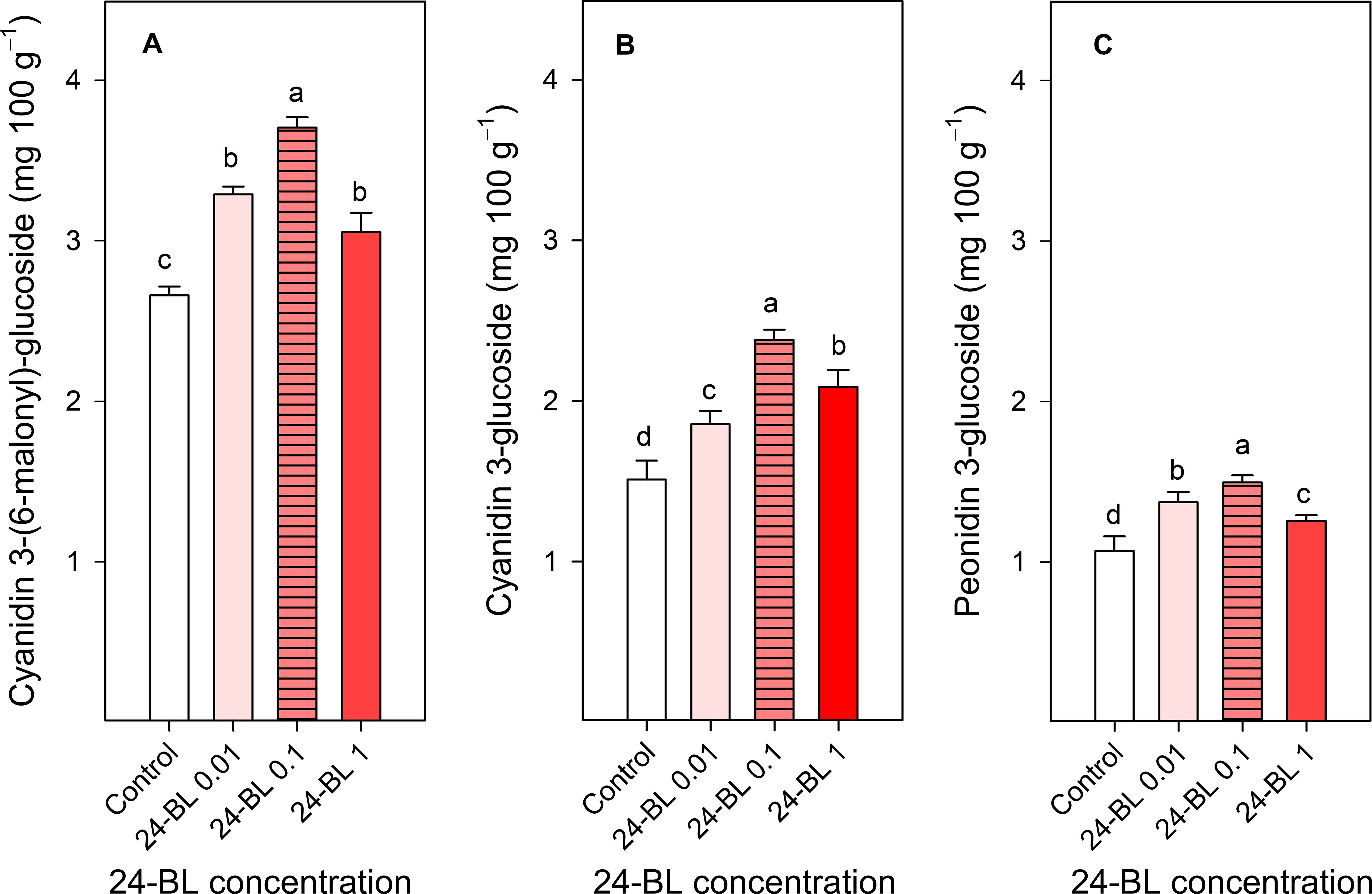 Bar chart showing the effects of different concentrations of 24-BL on anthocyanin compounds. Panel A: Cyanidin 3-(6-malonyl)-glucoside levels increase significantly at higher concentrations. Panel B: Cyanidin 3-glucoside shows a similar trend. Panel C: Peonidin 3-glucoside also increases but less markedly. Different letters indicate statistical significance.