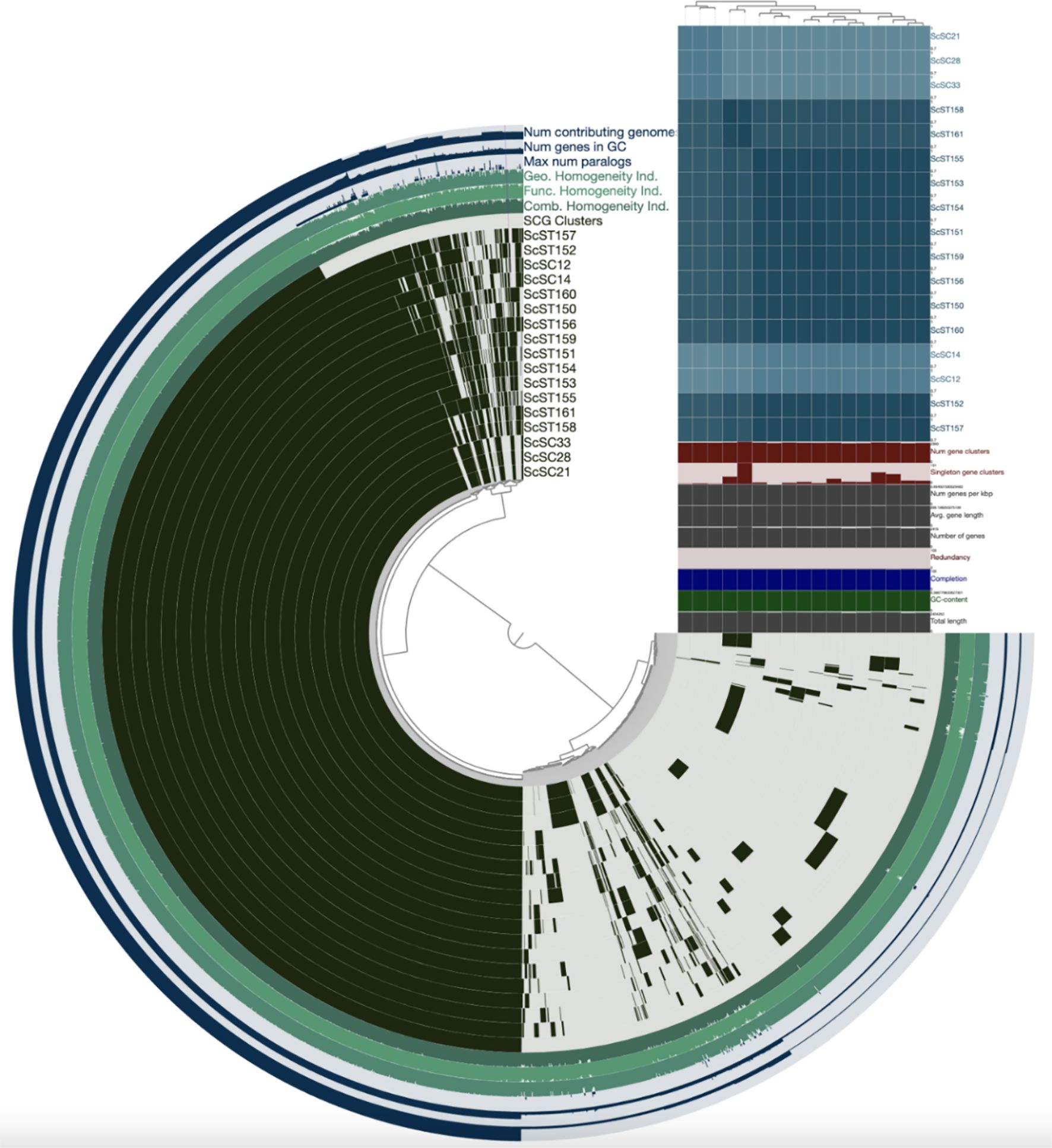 A circular dendrogram featuring hierarchical clustering of genomic data with colored bands and segments. Labels such as ScST157 to ScSC21 are displayed on the right. A heatmap accompanies the graph, displaying various genomic metrics including homogeneity indices and gene cluster information. The sections are color-coded, and the dendrogram visually represents relationships among gene clusters.