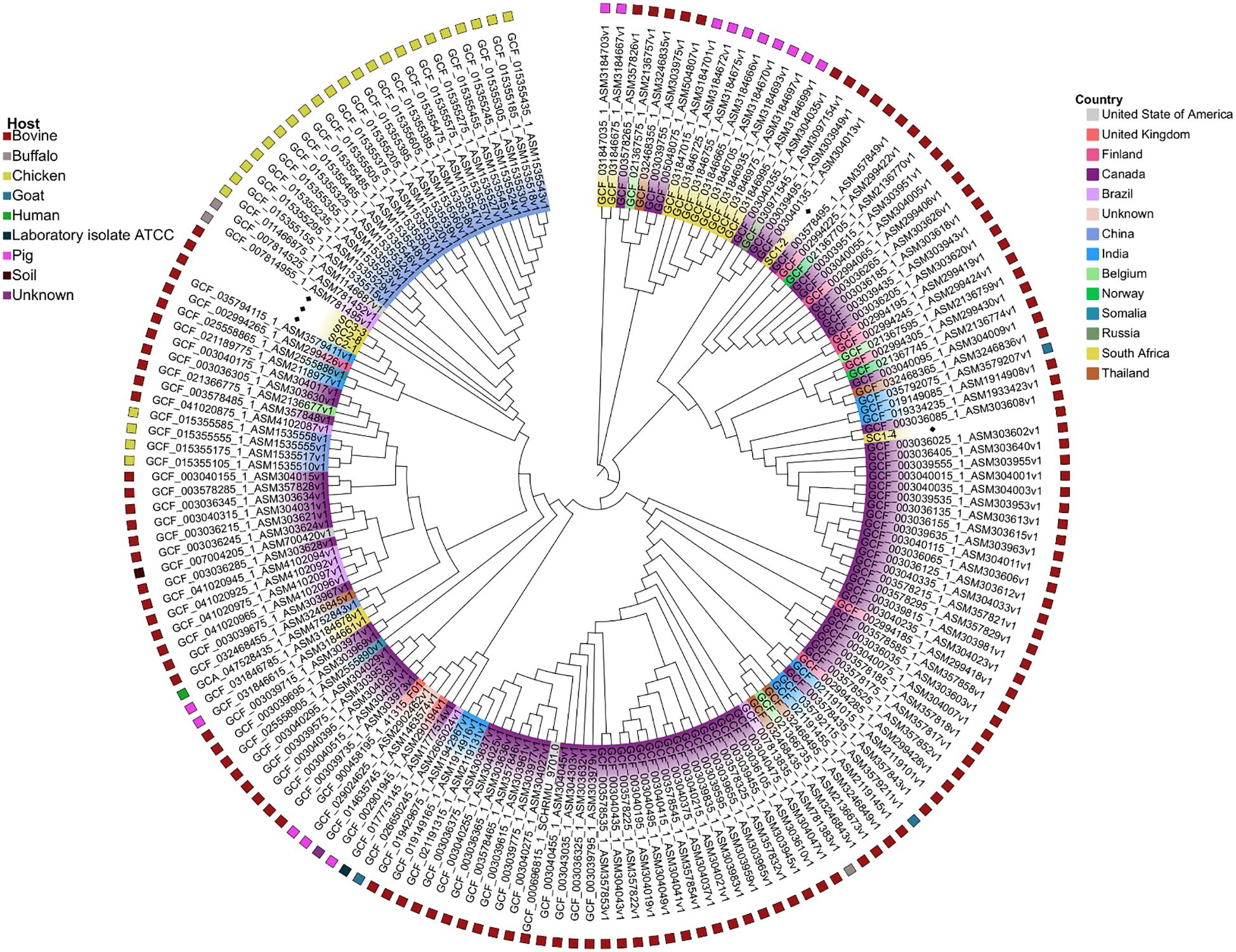 Circular phylogenetic tree diagram showing the distribution of various host species, indicated by colors: bovine, buffalo, chicken, goat, human, laboratory isolate ATCC, pig, soil, and unknown. Countries of origin are also color-coded, including the United States, the United Kingdom, Finland, Canada, and more. The diagram represents the relationships and origins of different isolates.