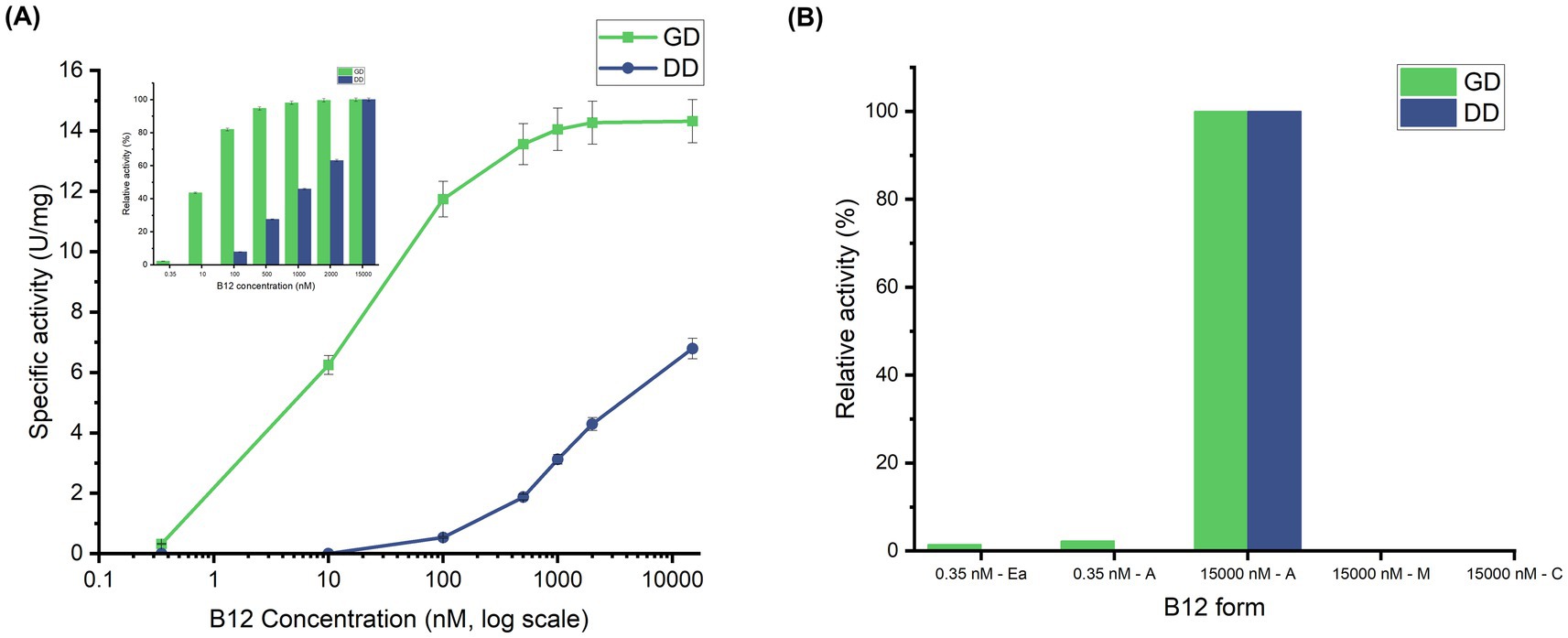 Two graphs compare the effects of B12 on GD and DD.Graph A shows specific activity versus B12 concentration on a logarithmic scale, with GD higher than DD.Graph B shows relative activity of different B12 forms, with both GD and DD highest at 15000 nM A form.