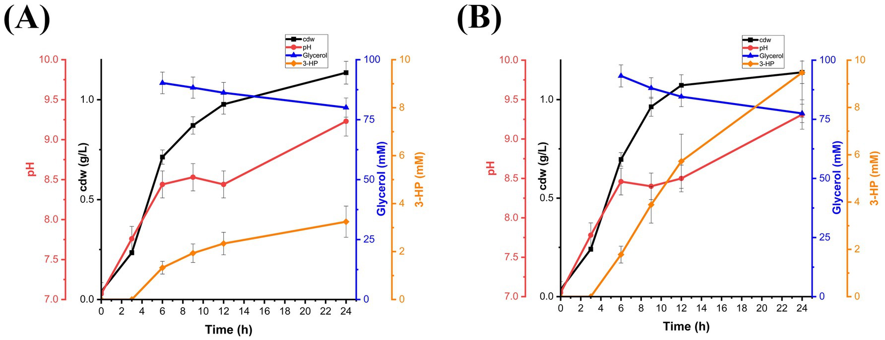 Two line graphs labeled A and B show data over 24 hours. Both graphs plot time (hours) on the x-axis. Graph A tracks cell dry weight (black line), pH (red line), glycerol (blue line), and 3-HP (orange line). It shows increases in cell dry weight, pH, and 3-HP, with glycerol decreasing. Graph B has similar variables, reflecting a similar trend with slight variations in the rate of change and values. Error bars indicate variability at each time point.
