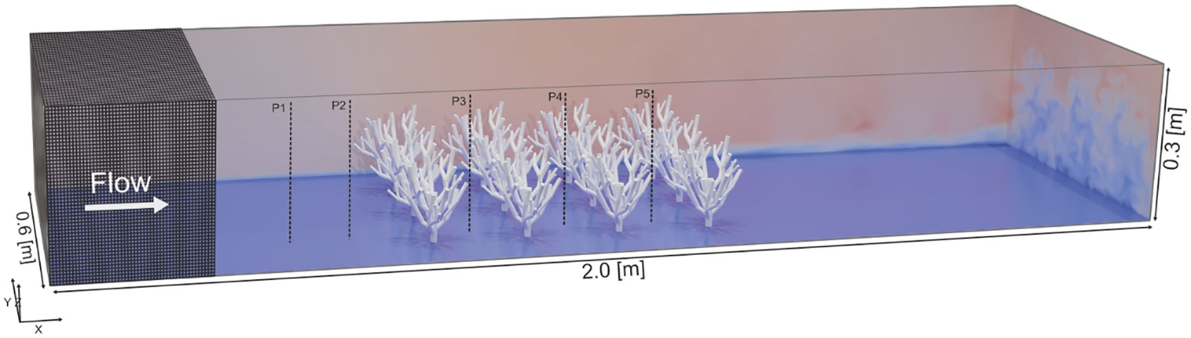 Three-dimensional numerical model of flow over cold-water coral colonies in a rectangular domain. The mesh is shown in dark grey, with flow velocity magnitude indicated by a blue-to-red color gradient (blue = low, red = high). Measurement profiles P1–P5 mark velocity and sediment profile locations along the domain length at y = 0.2.