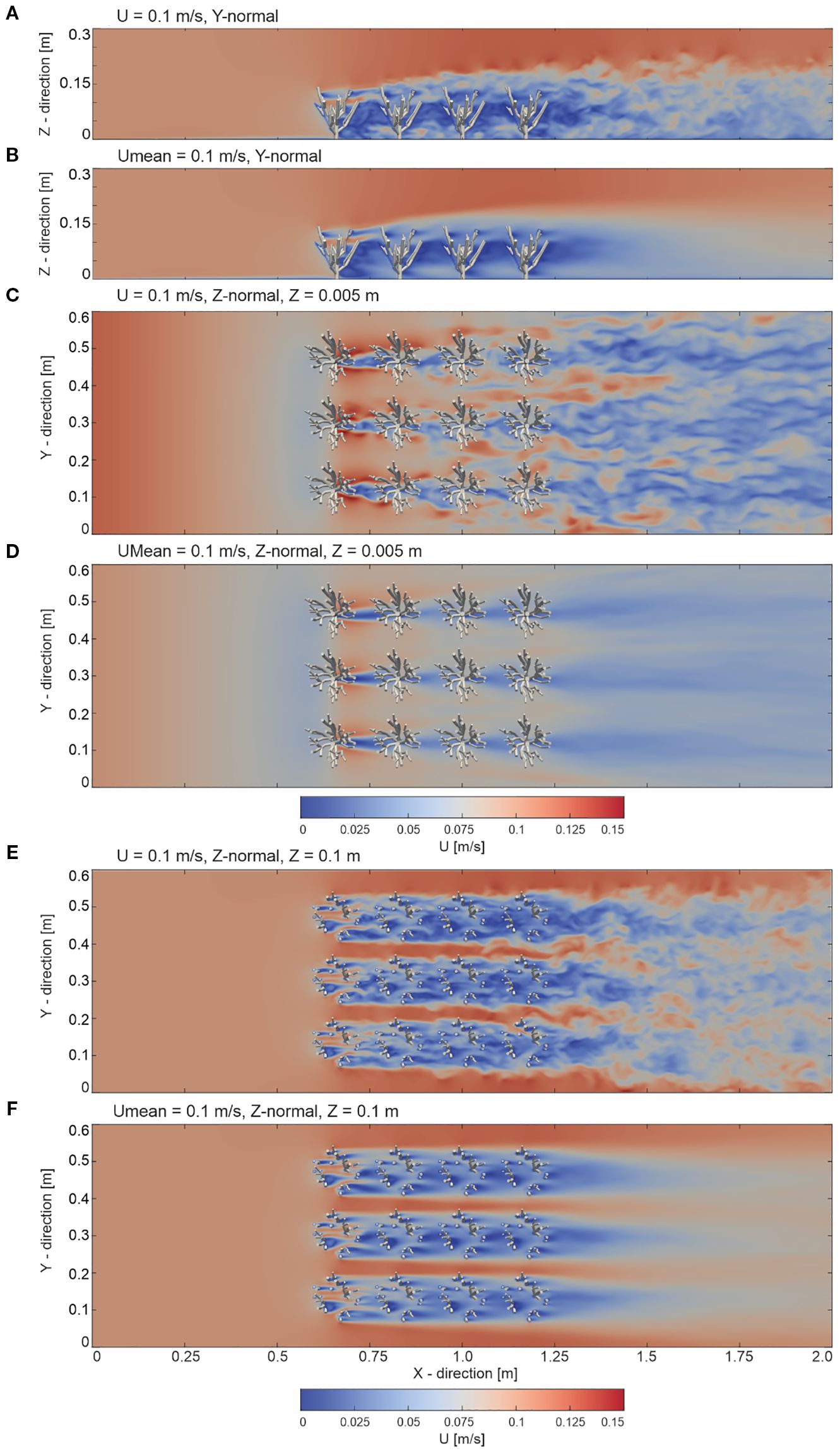 Six panels (A–F) showing instantaneous and mean velocity fields from the numerical model. Panels A–B depict the y-normal plane at y = 0.3 m; Panels C–D the z-normal plane near the bed at z = 0.005 m; and Panels E–F the z-normal plane within the coral canopy at z = 0.1 m. Velocity magnitude is shown in a blue-to-red color scale (0–0.15 m/s).