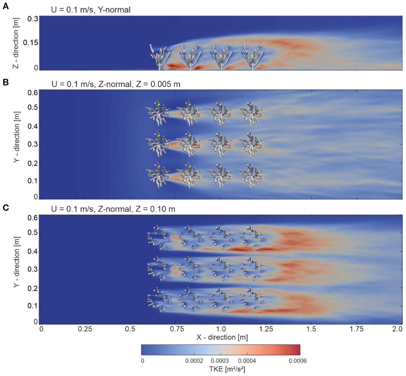Three panels (A–C) showing turbulent kinetic energy (TKE) distribution within a cold-water coral canopy from the numerical model. Panel A is a Y-normal slice at Z = 0.33 m; Panels B and C are Z-normal slices at Z = 0.005 m and Z = 0.10 m, respectively. TKE values are color-coded from blue (low) to red (high).