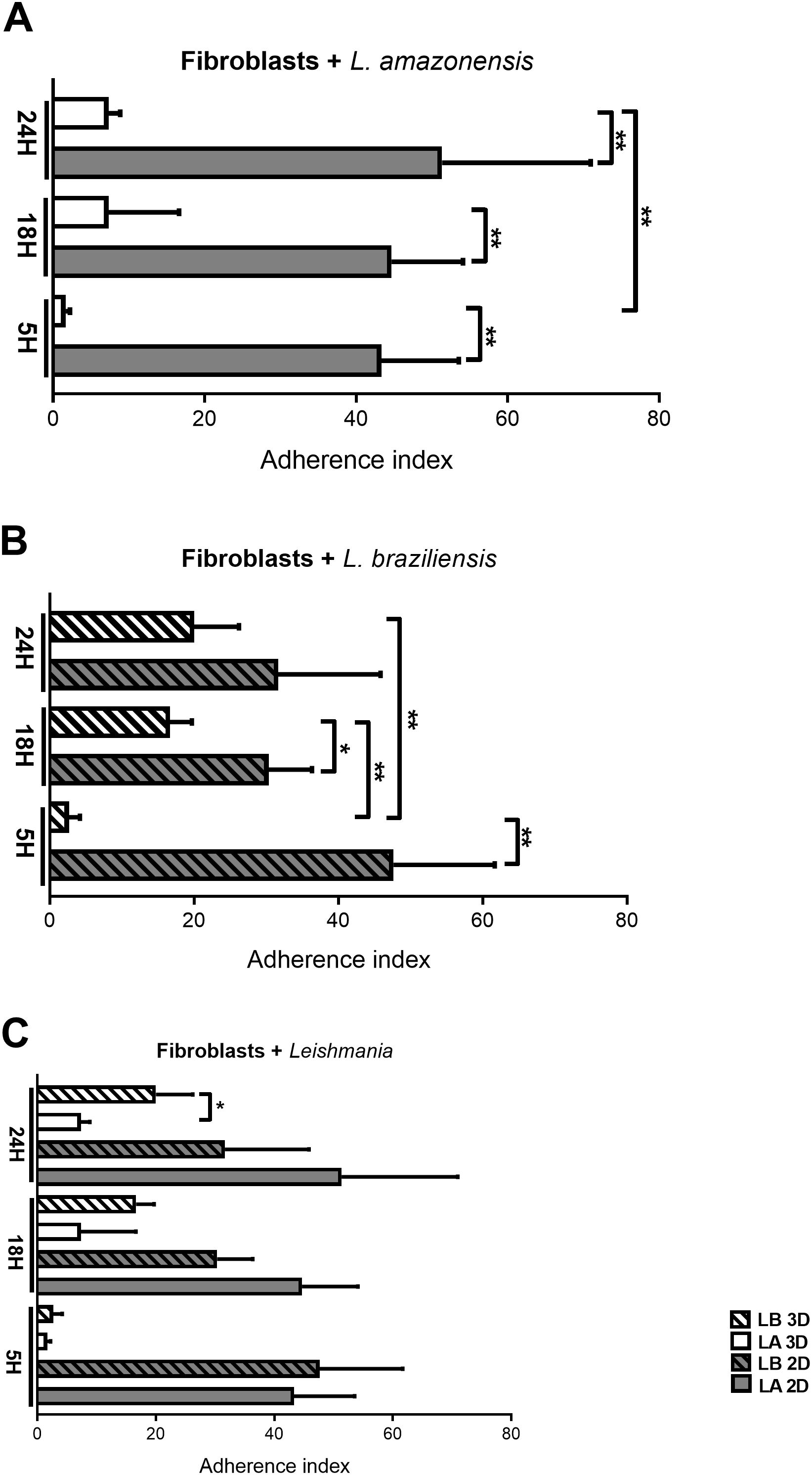 Bar chart showing the adherence index of fibroblasts with Leishmania species over time. Panel A depicts L. amazonensis with the highest adherence at 5 hours. Panel B illustrates L. braziliensis, also with significant adhesion at 5 hours. Panel C compares both species, showing varying adherence across 5, 18, and 24 hours. Statistical significance is indicated with asterisks. Legend distinguishes conditions using different patterns for LB 3D, LA 3D, LB 2D, and LA 2D.