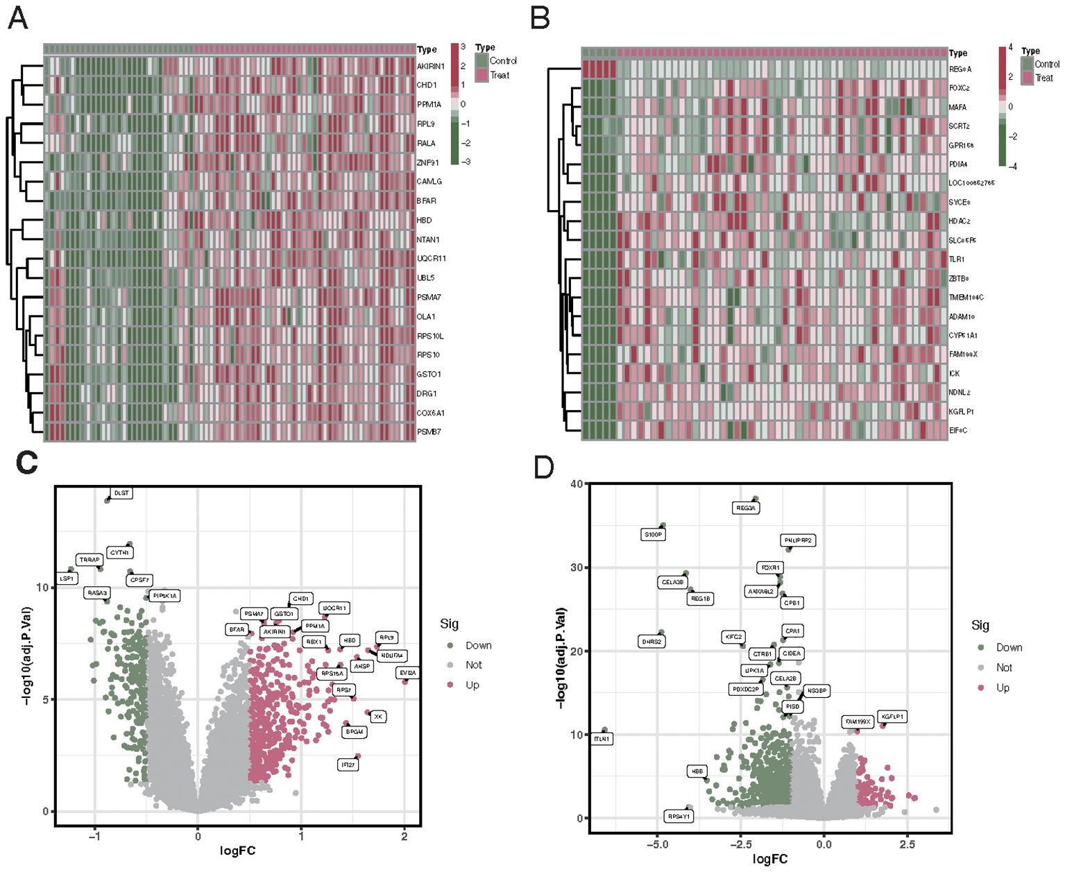 Two heatmaps and two volcano plots illustrate gene expression data. Heatmaps (A and B) show differential expression with color variations from green to red to indicate changes across samples. Volcano plots (C and D) display statistical significance against fold change, with significant genes highlighted in green and red dots representing downregulated and upregulated genes, respectively.