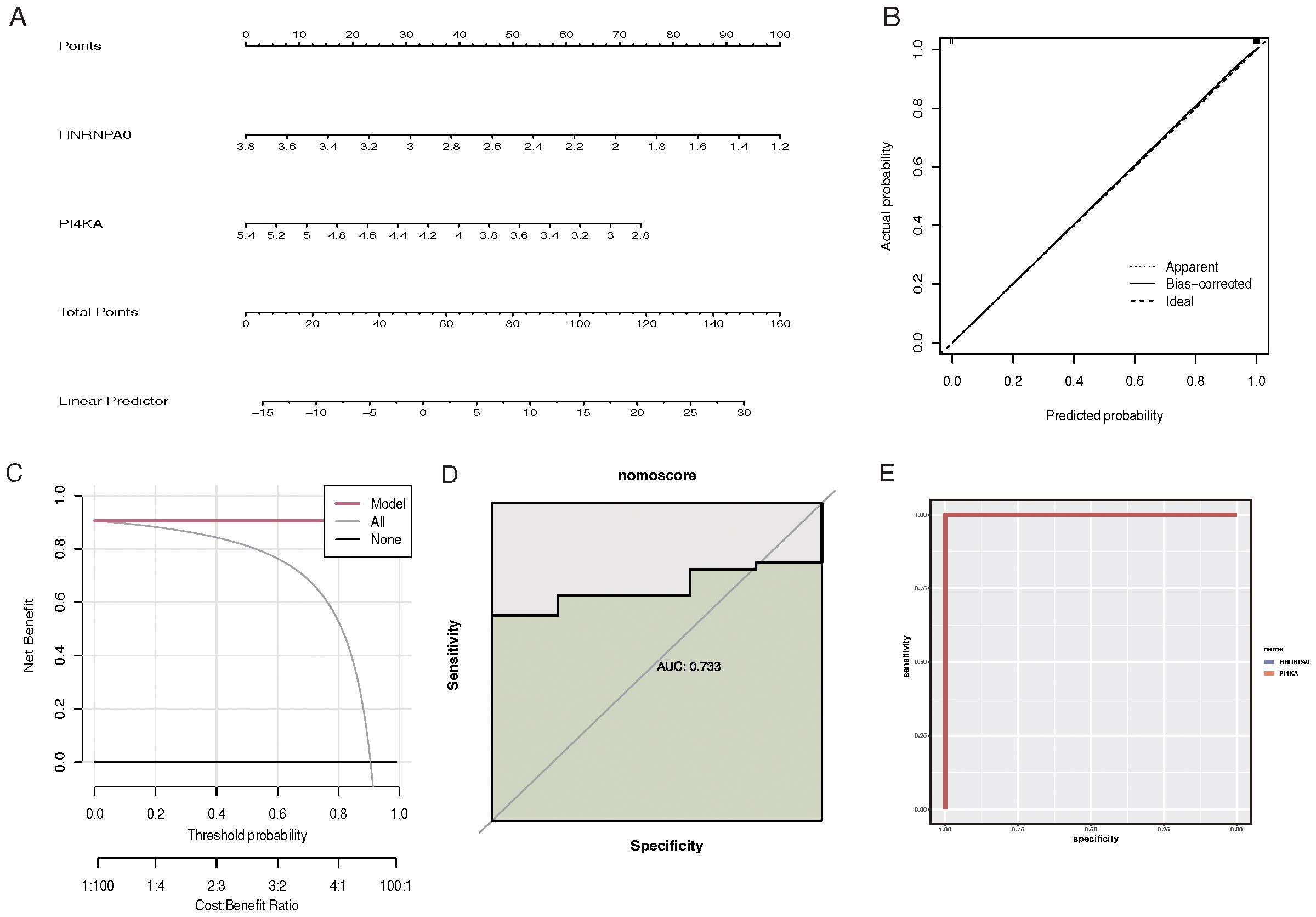 Panel A shows a nomogram for predicting outcomes using points from HNRNPA0 and PI4KA, total points, and a linear predictor. Panel B is a calibration plot indicating predicted versus actual probability with apparent, bias-corrected, and ideal lines. Panel C presents a decision curve analysis displaying net benefit against threshold probability for models labeled “Model,” “All,” and “None.” Panel D is a ROC curve for nomoscore with an AUC of 0.733, showing sensitivity versus specificity. Panel E depicts a ROC curve comparing HNRNPA0 and PI4KA with high sensitivity and specificity.