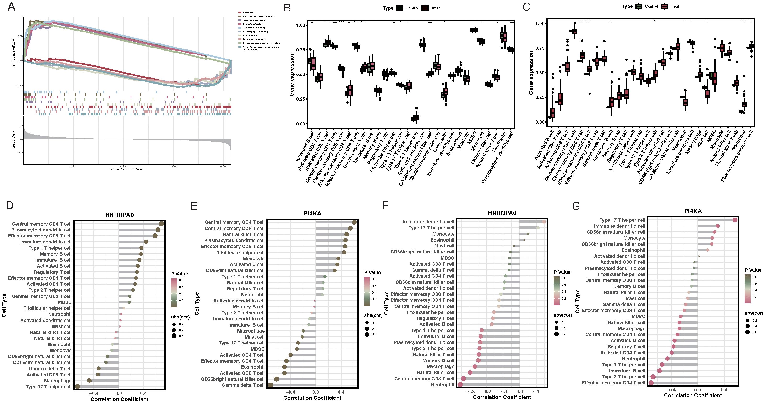 A series of charts visualizing gene expression and correlation data. Chart A shows a ranked summary of datasets with a running score and rank metric. Charts B and C depict box plots comparing gene expression across various cell types for control and treatment groups. Charts D to G display correlation coefficients of cell types with specific genes, using dot plots to indicate P-value significance and correlation strength. Each chart includes detailed labels for cell types and measured parameters.