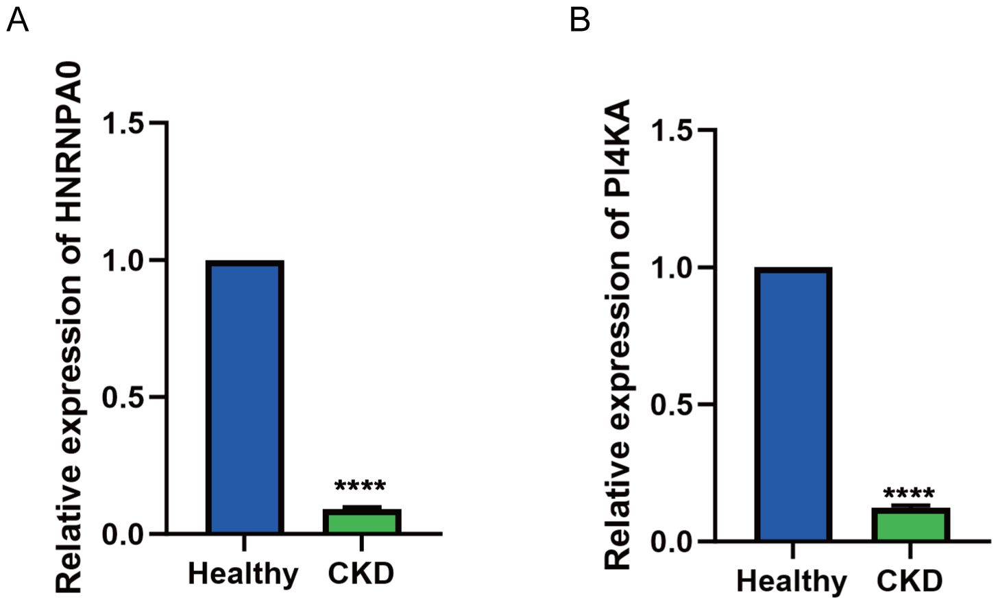 Bar charts showing the relative expression levels of HNRNPA0 and PI4KA. Chart A illustrates a higher expression of HNRNPA0 in healthy subjects compared to those with CKD. Chart B indicates a similar pattern for PI4KA, with significantly reduced expression in CKD patients. Asterisks denote statistical significance.