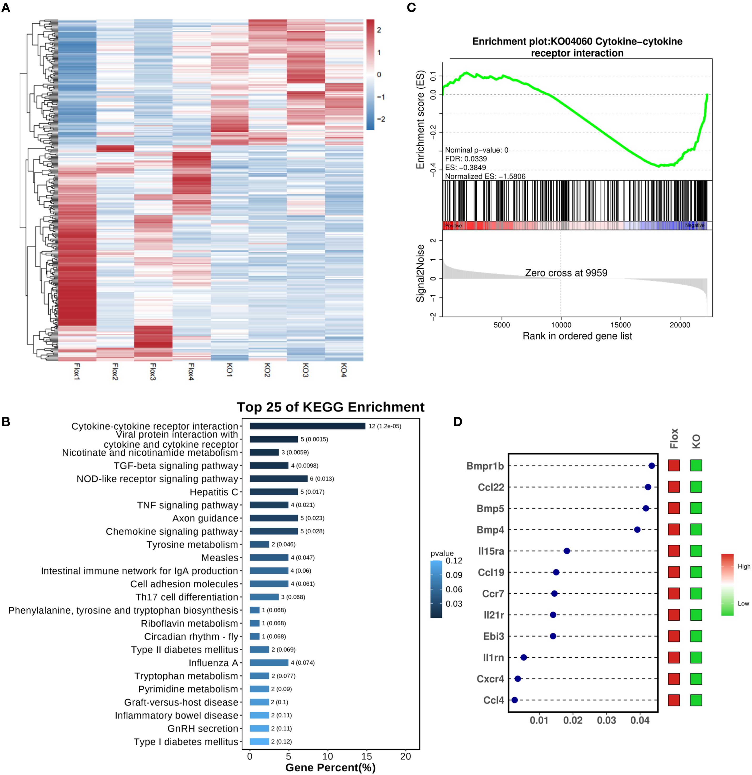 Panel A shows a heatmap depicting gene expression data with a color gradient from blue to red. Panel B presents a bar chart listing the top twenty-five KEGG pathway enrichments with corresponding gene percentages and p-values. Panel C is an enrichment plot for cytokine-cytokine receptor interaction, displaying enrichment scores and signal-to-noise ratios, with additional statistical measures. Panel D illustrates a dot plot with the expression levels of various genes, showing color-coded differences between Flox and KO conditions.