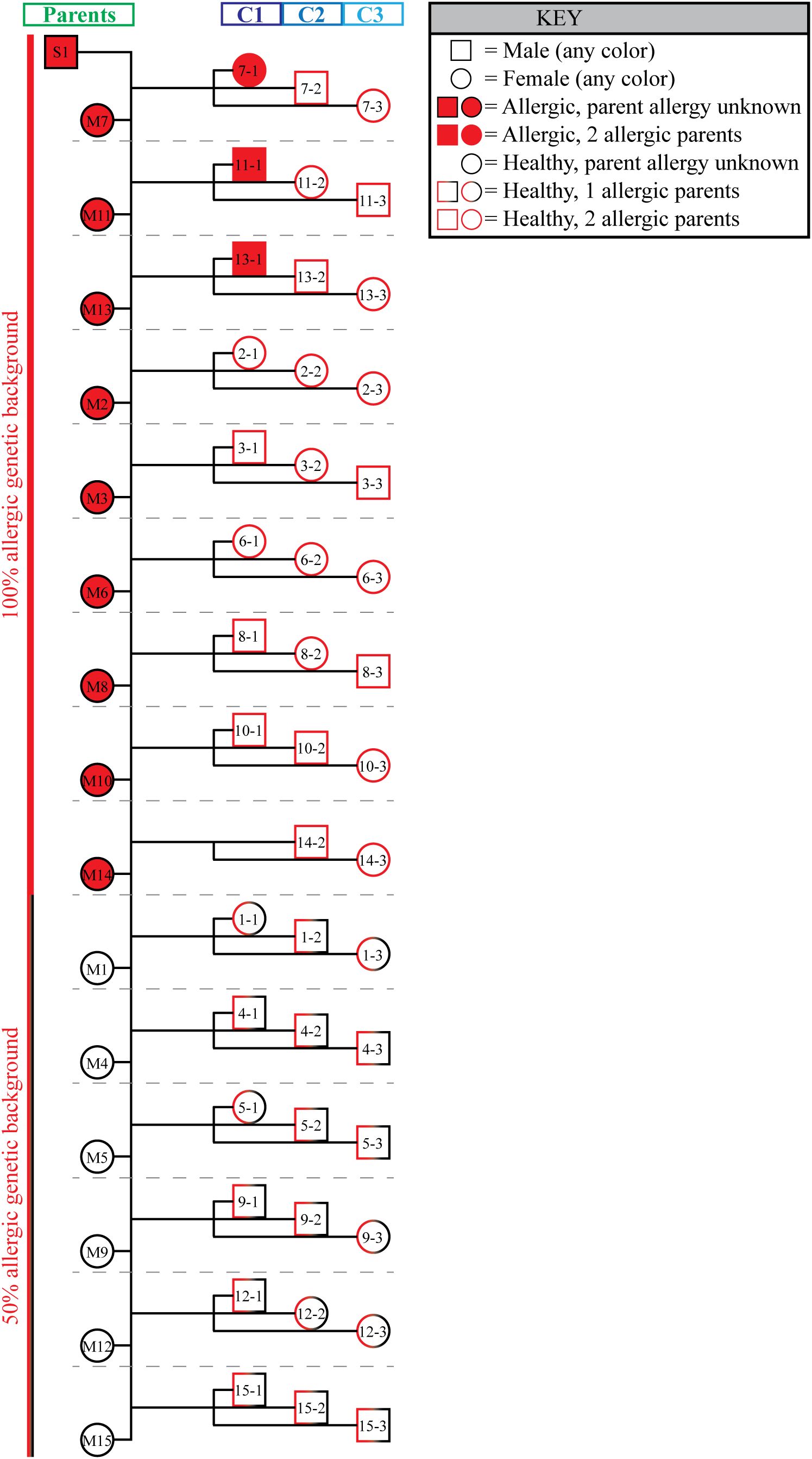 Pedigree chart showing genetic background for allergies in all horses. Parent horses are ordered with allergic parents at the top of the pedigree and healthy horses at the bottom of the pedigree. Each node represents an individual with symbols indicating sex and allergy status. A key explains the symbols: squares for males, circles for females, filled red for allergic horse, filled white for healthy horse, outlined red if both parents were allergic, outlined half red and half black if one parent was allergy and one was healthy, outlined black if parent allergy status is unknown.