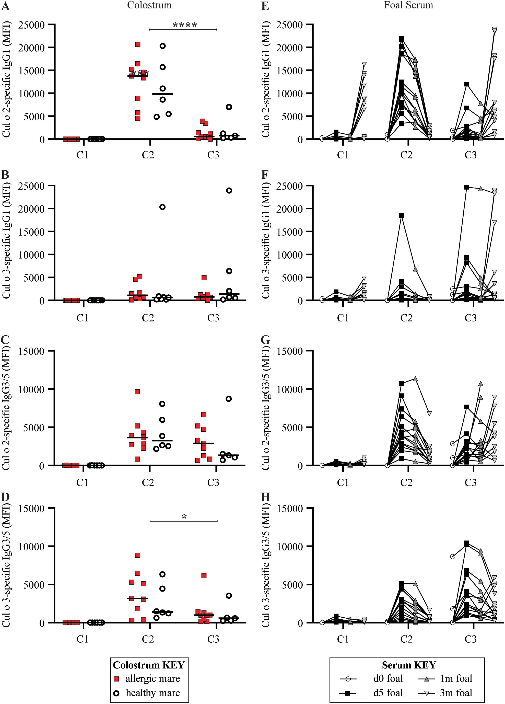 Graphs A to H present measurements of Cul o 2-specific and Cul o 3-specific IgG1 and IgG3/5 levels in colostrum and foal serum samples, represented by MFI on the y-axis for all three cohorts C1, C2, and C3. Graphs A-B show allergen-specific IgG1 and graphs C-D show allergen-specific IgG3/5 in colostrum samples from allergic (red squares) versus healthy mares (black circles) across the three cohorts C1, C2 and C3. Graphs E-F show allergen-specific IgG1 and graphs G-H show allergen-specific IgG3/5 in foal serum across different ages for all three cohorts C1, C2 and C3: day 0 (open circles), day 5 (black squares), 1 month (dark gray triangles), and 3 months (light gray inverse triangles). Significant differences are indicated with asterisks in panels A and D.