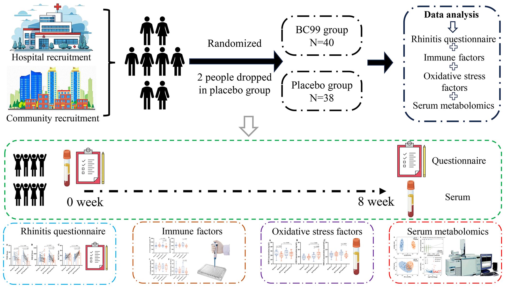 Flowchart illustrating a study design. Participants recruited from hospital and community settings are randomized into BC99 (40 participants) and placebo (38 participants) groups, with 2 placebo dropouts. Over 8 weeks, data analysis includes a rhinitis questionnaire, immune factors, oxidative stress factors, and serum metabolomics. The chart depicts assessment at weeks 0 and 8, detailing data collection processes and analytical methods, including graphs and lab equipment.