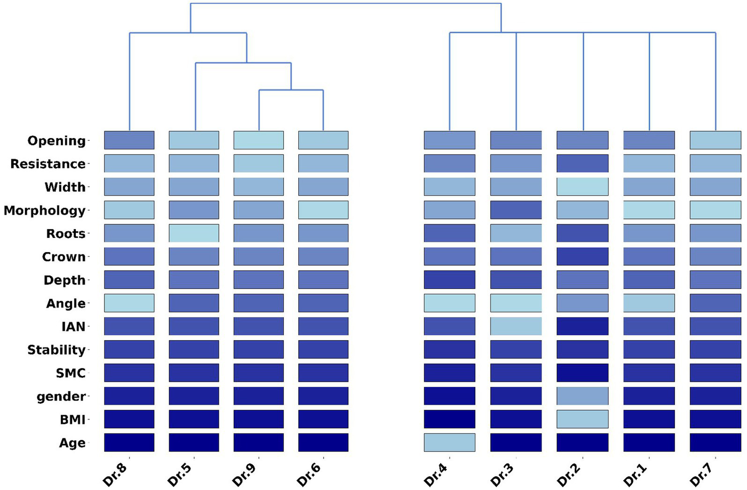 Hierarchical cluster analysis heatmap displaying various parameters such as opening, resistance, width, morphology, and others for different doctors labeled Dr.1 to Dr.9. Color gradients represent value intensities.