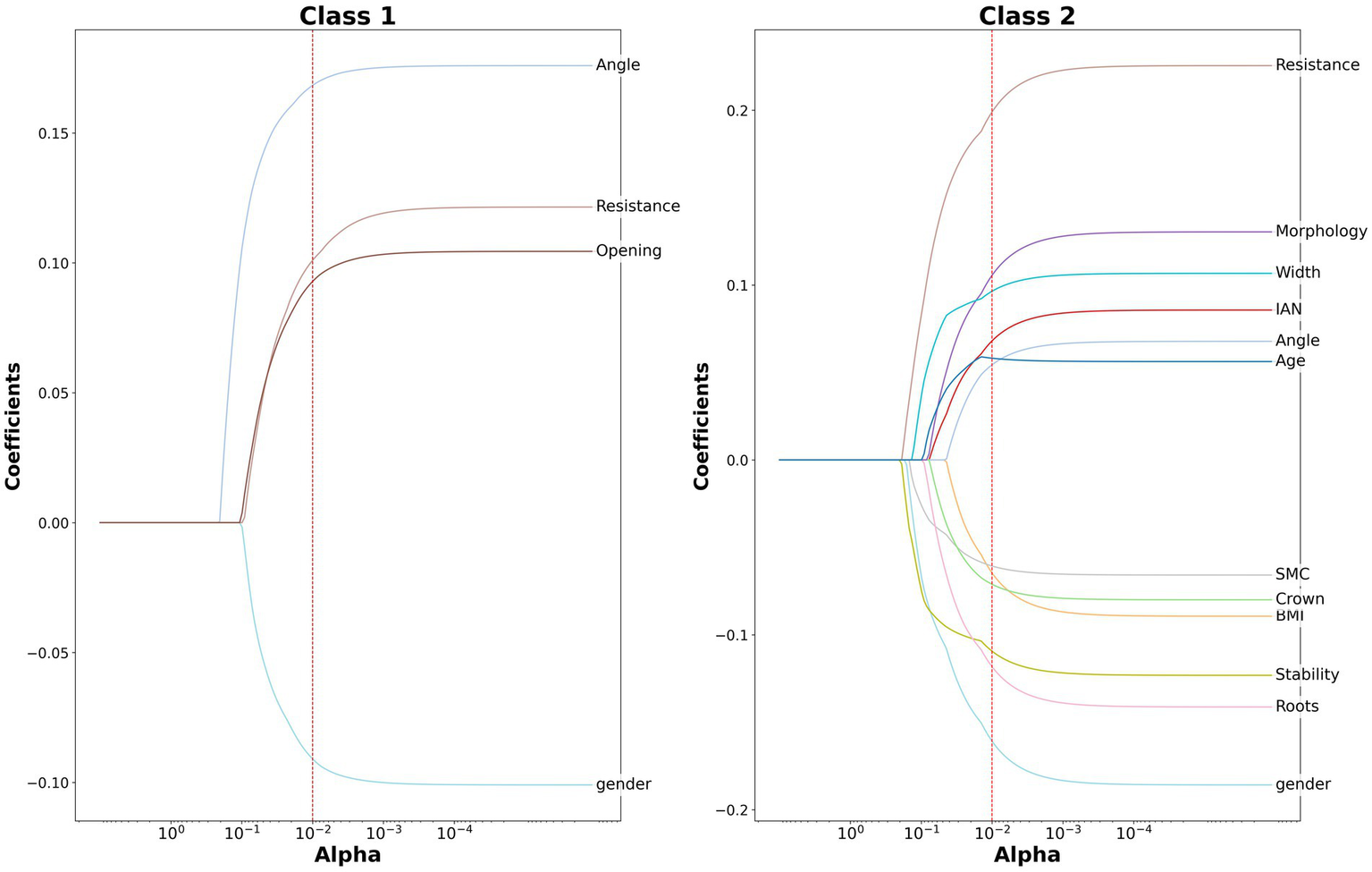 Two line graphs labeled "Class 1" and "Class 2" show coefficients versus alpha on log scales. Each graph displays multiple lines representing different factors. In Class 1, main factors are angle, resistance, and opening. In Class 2, resistance, morphology, width, and others are shown. A red dotted line indicates a specific alpha value on both graphs.