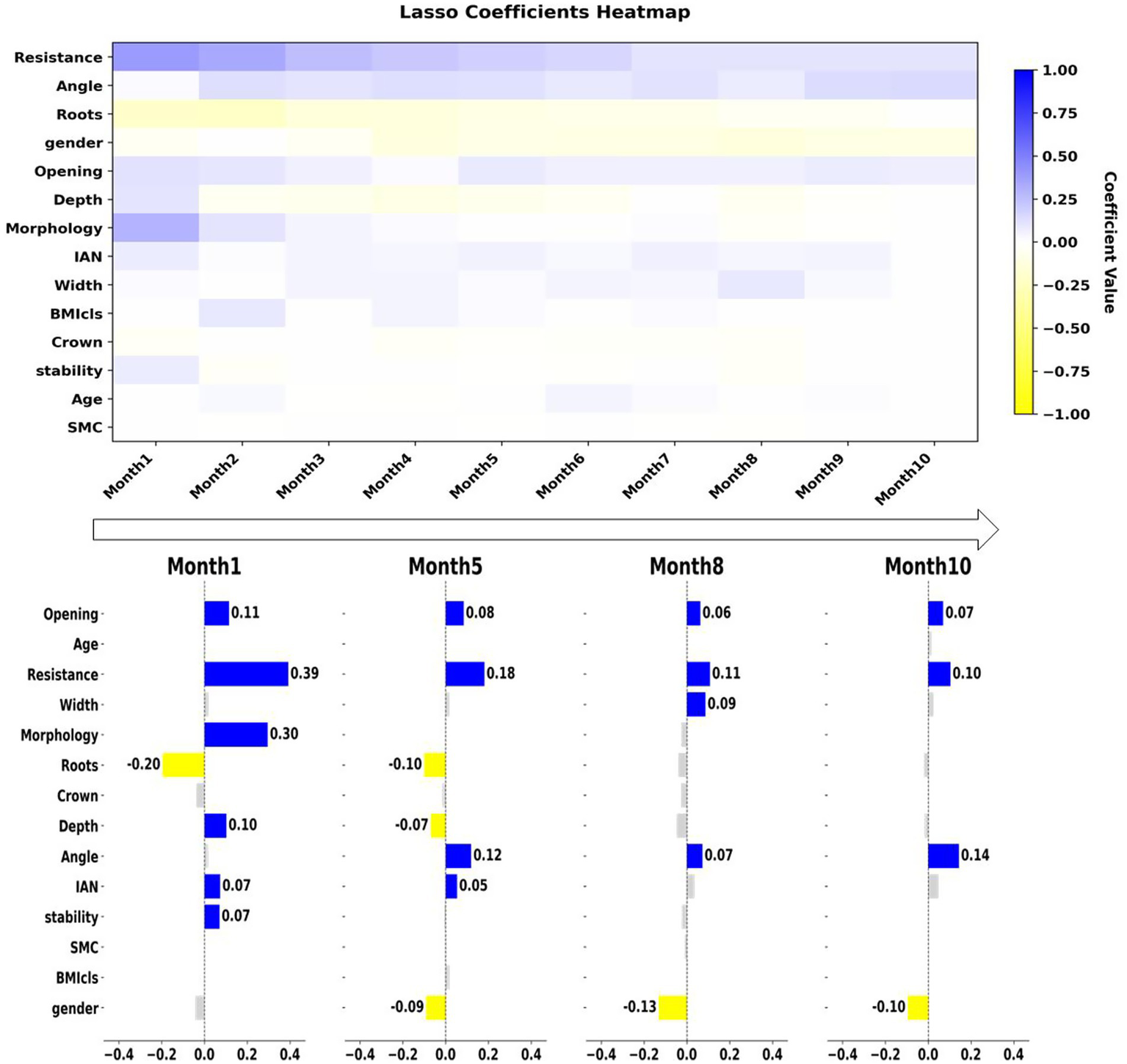 Heatmap and bar graph illustrating Lasso coefficients over ten months for variables like Resistance, Angle, Roots, and others. Colors range from blue (1.00) to yellow (-1.00), showing varying impacts. Bar graphs for months 1, 5, 8, and 10 depict specific coefficient values, highlighting changes over time for features like Resistance and Morphology.