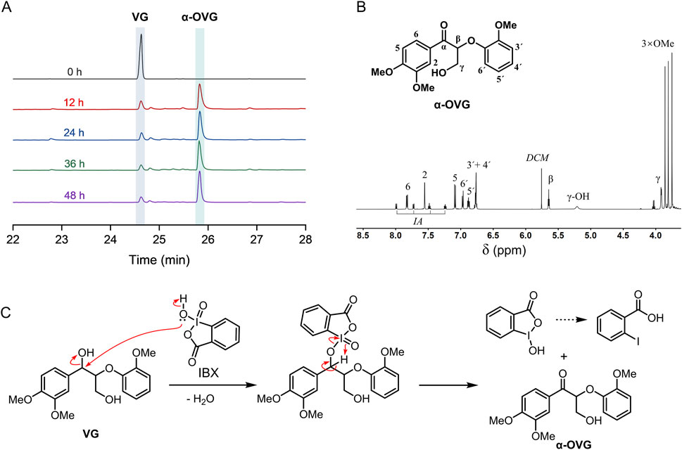 Chemical analysis image comprising three panels. Panel A depicts chromatograms of VG and α-OVG over time (0, 12, 24, 36, 48 hours) showing separation peaks at different retention times. Panel B shows the chemical structure of α-OVG with accompanying NMR spectrum labeled with chemical shifts and molecule identifiers. Panel C illustrates the chemical reaction mechanism converting VG to α-OVG using IBX as an oxidizing agent, with intermediate structures and reactions shown and annotated.