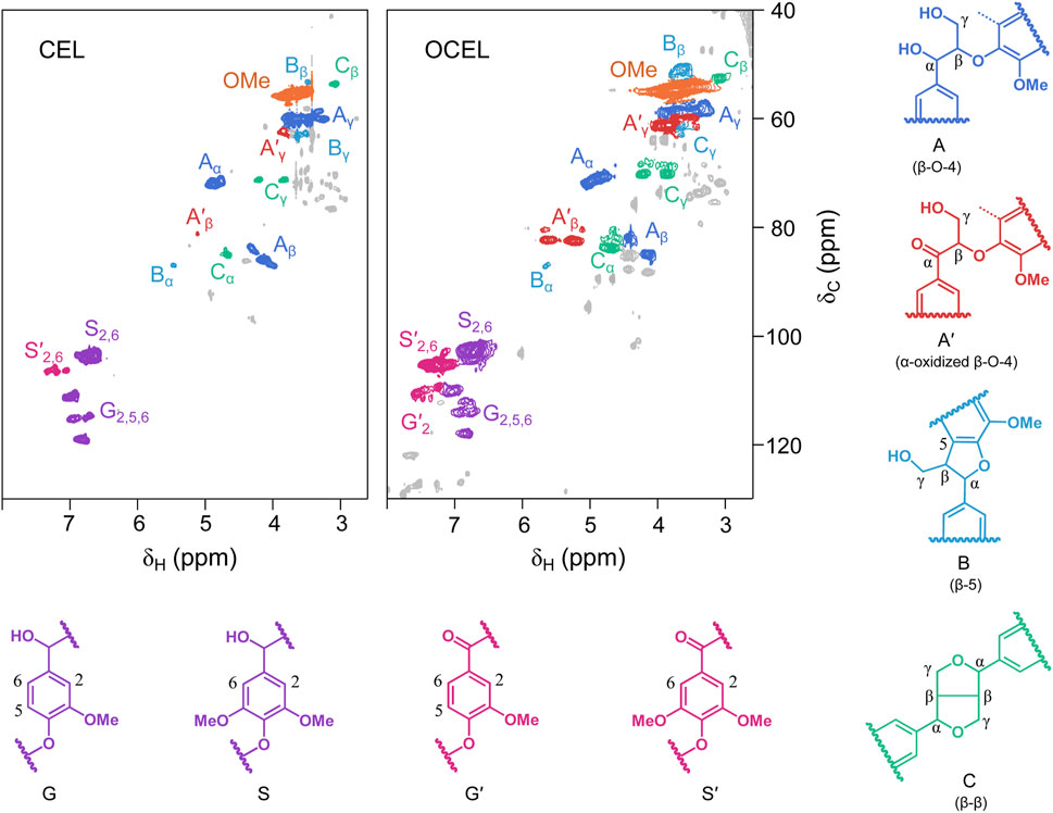 2D NMR spectra for CEL. To the right, structural diagrams for lignin units A, A’, B, and C in blue, red, and green. Below, chemical structures for G, S, G’, and S’ units in purple and red are shown.
