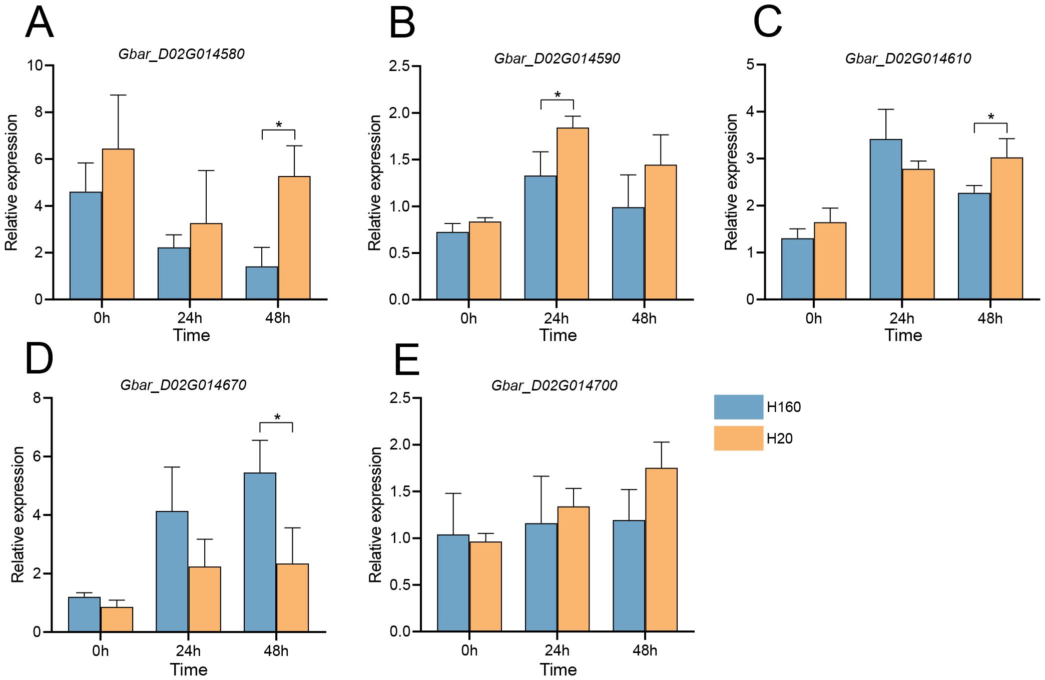 Bar graphs labeled A to E show relative expression of different genes over time. Each graph has two bars for each time point, 0 hours, 24 hours, and 48 hours, comparing blue for H160 and orange for H20. Significant differences are marked with an asterisk. Graphs compare expression levels of genes Gbar_D02G014580, Gbar_D02G014590, Gbar_D02G014610, Gbar_D02G014670, and Gbar_D02G014700.