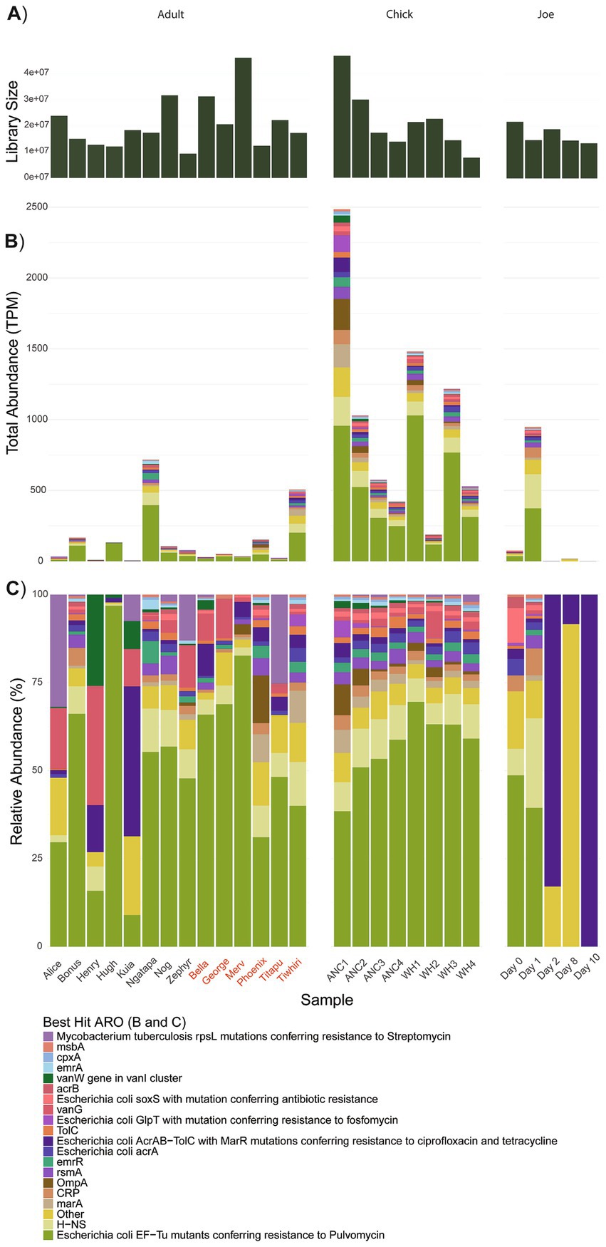 A multi-part bar chart with sections labeled A, B, and C. A) Displays library size across three categories: Adult, Chick, and Joe. B) Illustrates total abundance in TPM for the same categories, with stacked bars representing various components. C) Shows relative abundance percentages for multiple samples, using colored segments correlated with specific antibiotic resistance genes. A legend details the colors, linking them to resistance genes like rpsL and vanW.