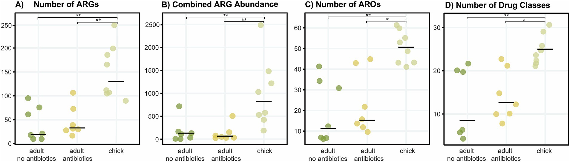 Four scatter plots compare adults and chicks with and without antibiotics. A) ARG numbers range up to 300. B) ARG abundance ranges at 2500. C) ARO numbers range 60. D) Drug classes range to 35. Chicks without antibiotics consistently show higher values than adults, with significance marked.