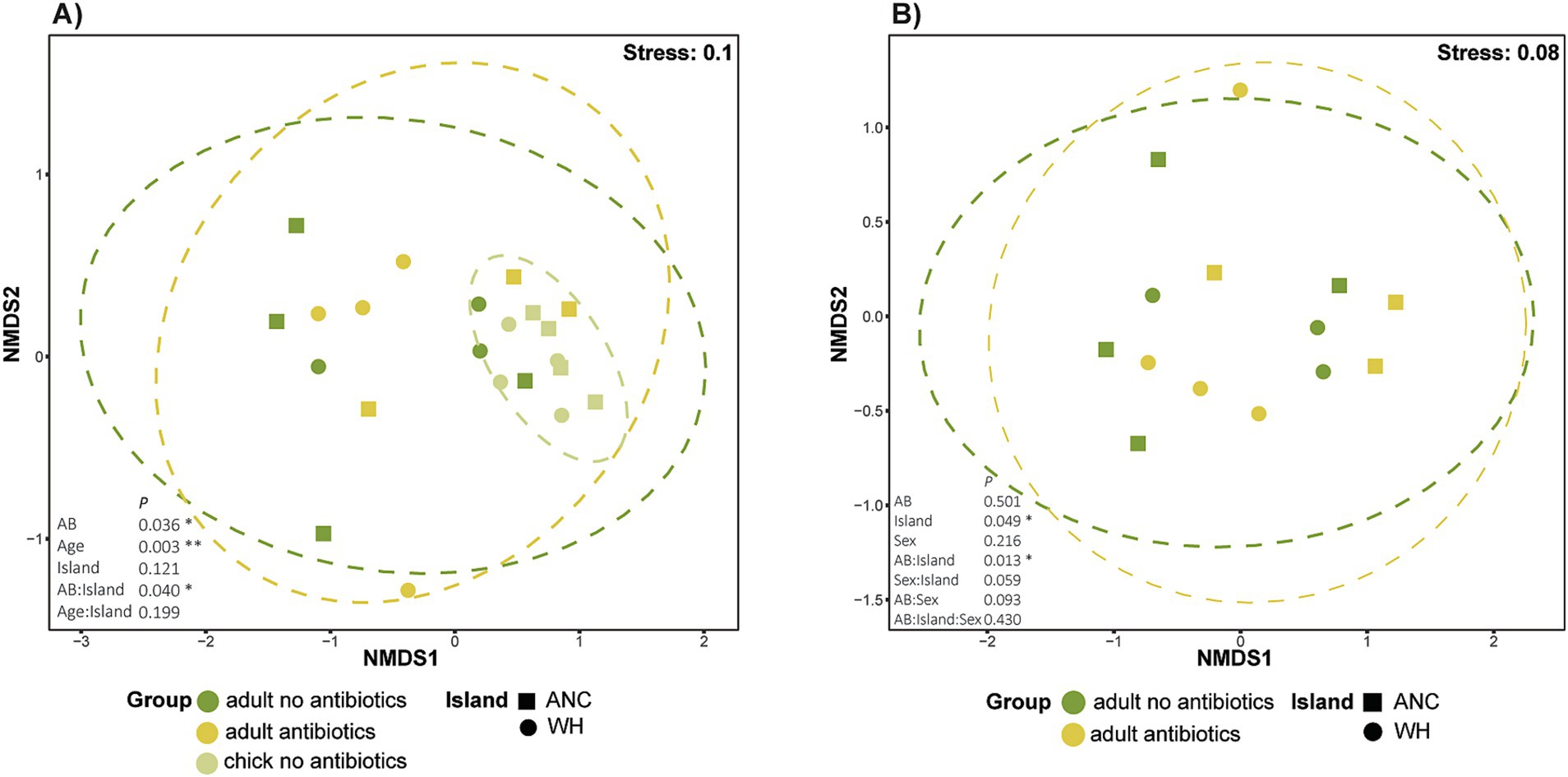 Two NMDS plots labeled A and B display data with stress values of 0.1 and 0.08, respectively. Data points are categorized by group and island, indicated by colors and shapes: shades of green and yellow for groups, and squares and circles for islands. Dashed lines enclose the points, showing variation. Annotated p-values highlight statistical significance across different conditions like antibiotics, age, and island.