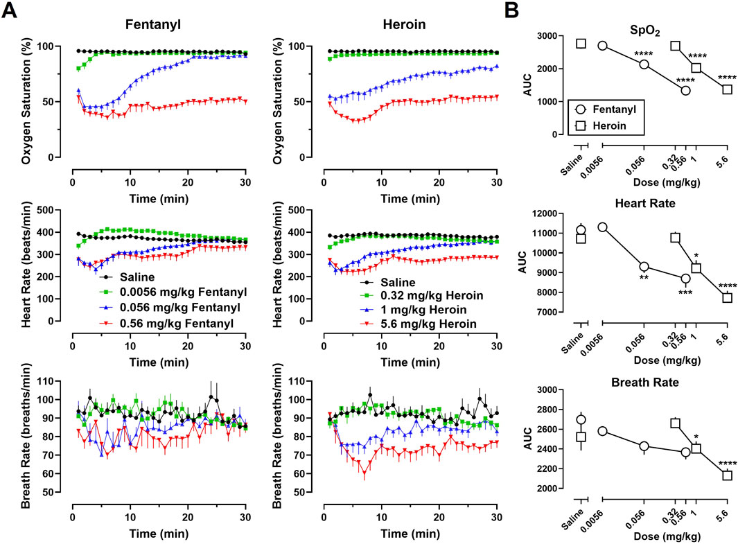 Graphs depict the effects of Fentanyl and Heroin on oxygen saturation, heart rate, and breath rate over 30 minutes. Part A shows line graphs, and Part B shows line graphs comparing area under the curve (AUC) for different doses. Higher doses reduce oxygen saturation and heart rate more significantly. Statistical significance is indicated by asterisks.