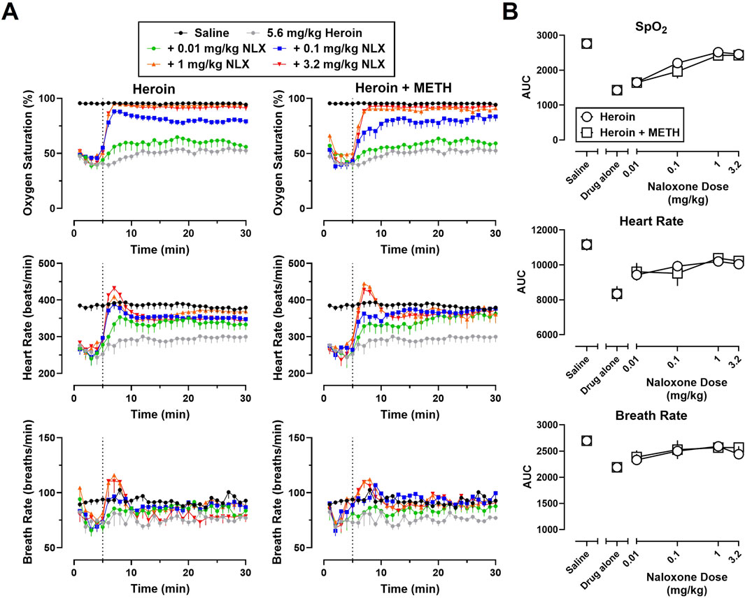 Graphs showing the effects of heroin, with and without methamphetamine (METH), on oxygen saturation, heart rate, and breath rate over time and varying naloxone doses. Panel A displays time-based line graphs comparing saline and different naloxone doses (0.01, 0.1, 1, 3.2 mg/kg) with heroin and heroin plus METH. Panel B presents area under the curve (AUC) plots for SpO2, heart rate, and breath rate, correlating them with naloxone doses. Different symbols represent saline, heroin alone, and heroin with METH.
