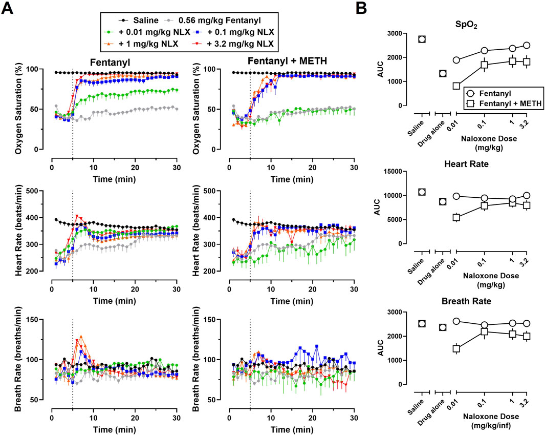 Graphs display the effects of fentanyl and fentanyl with methamphetamine (METH) on oxygen saturation, heart rate, and breath rate over time and various doses of Naloxone (NLX). Panel A shows time-based graphs for saline and different NLX doses, with noticeable differences in oxygen saturation and heart rate for the fentanyl versus the combination. Panel B illustrates area under the curve (AUC) comparisons between fentanyl and the combination for SpO2, heart rate, and breath rate, indicating dose-dependent effects with labeled axes and units.