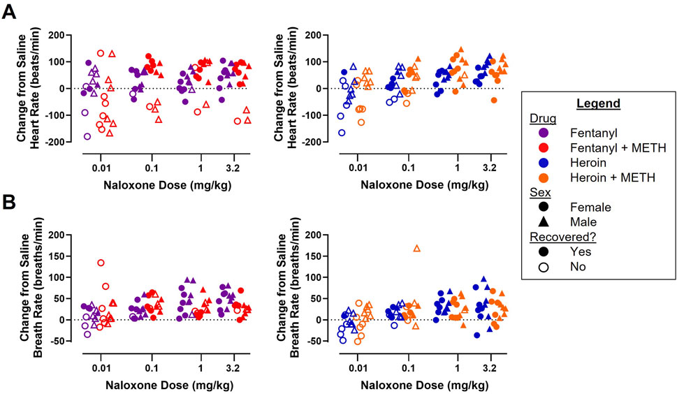 Scatter plots show changes in heart rate (A) and breath rate (B) from baseline, comparing effects of fentanyl, heroin, and their combinations with METH at various naloxone doses (0.01 to 3.2 mg/kg). Data is categorized by drug type, sex, and recovery status, represented by different colored and shaped markers as detailed in the legend.