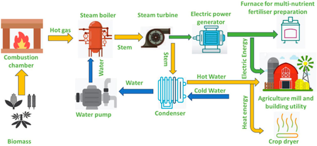 Flow diagram showing biomass energy conversion to electricity and heat. Biomass is burned in a combustion chamber, creating hot gas for a steam boiler. Steam powers a steam turbine connected to an electric generator. Electricity is used in a fertilizer furnace and agriculture mill. Steam also heats water via a condenser, which returns water to the cycle. Heat energy is used for crop drying.