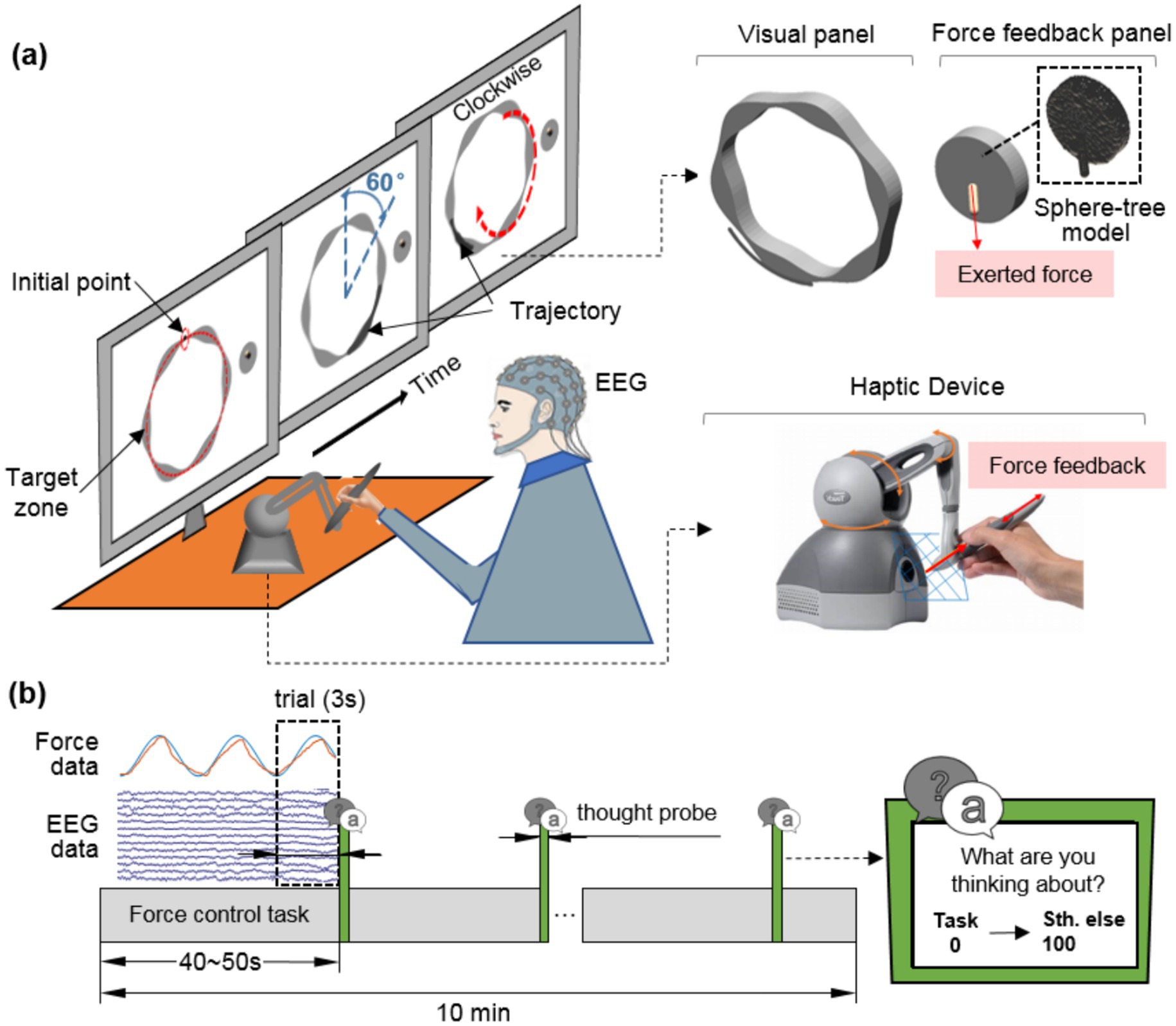 Diagram illustrating an experimental setup for a force control task with EEG monitoring. Panel (a) shows a participant interacting with a haptic device while visualizing trajectory tasks on a screen. The visual panel includes trajectory direction and feedback, with force exertion indicated. Panel (b) outlines the trial structure over time, including force and EEG data collection, and thought probes.