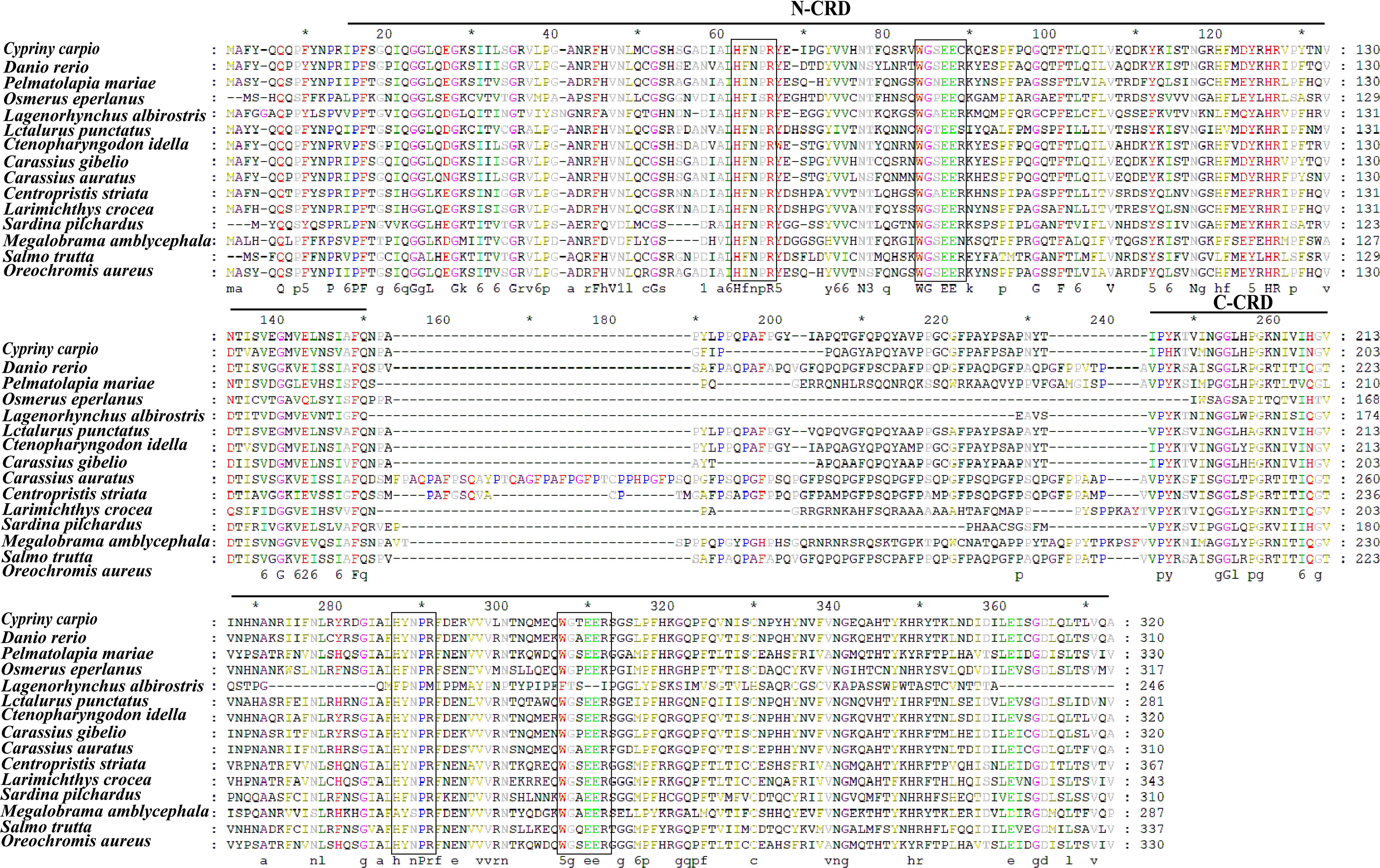 Multiple protein sequence alignments of various fish species are shown, highlighting regions N-CRD and C-CRD with specific amino acids marked in colors. The sequences include species like Cyprinus carpio, Danio rerio, and Salmo trutta. Positions are numbered every 20 residues.
