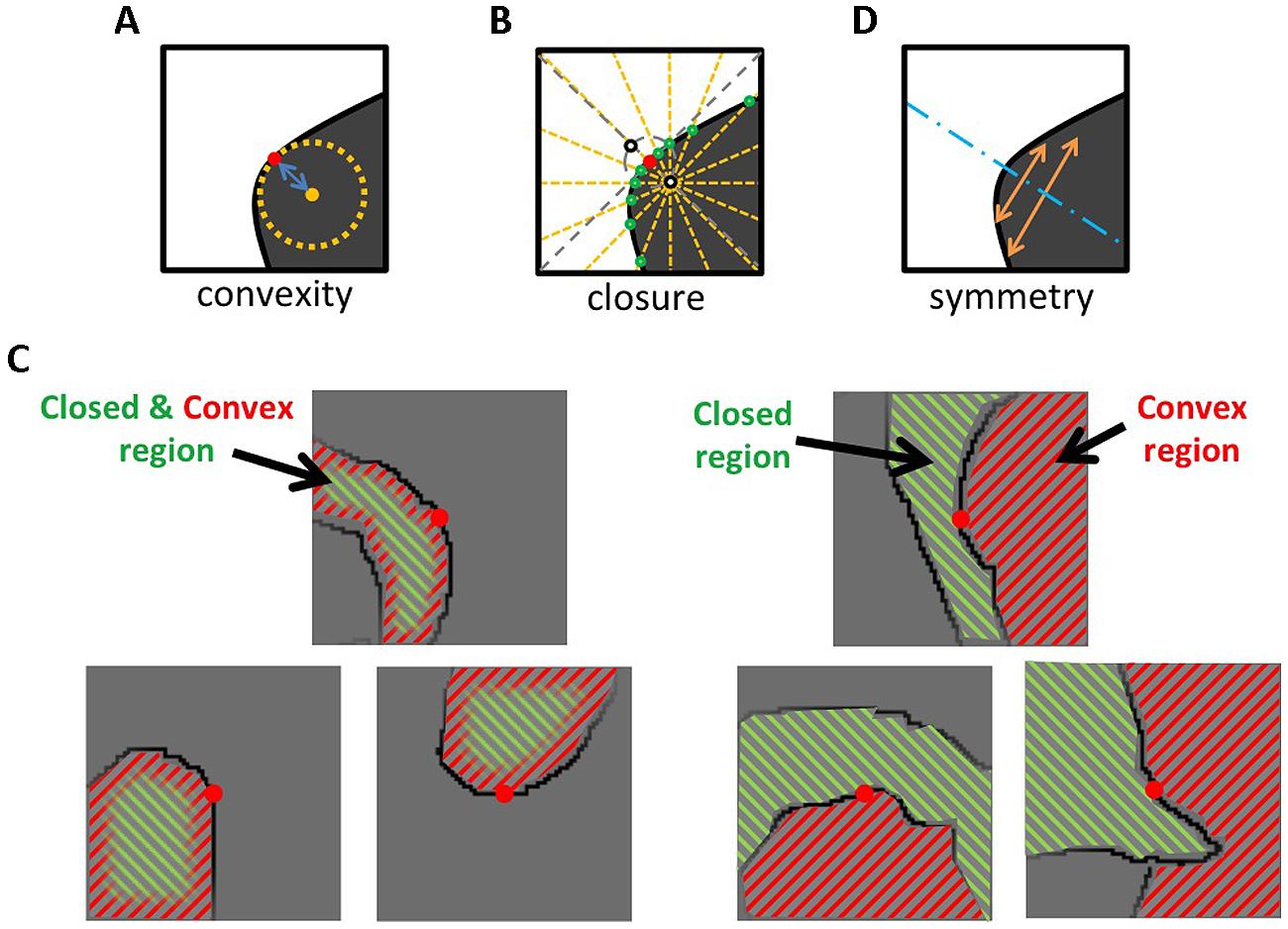 Frontiers Perceptual Representation And Effectiveness Of Local Figure 