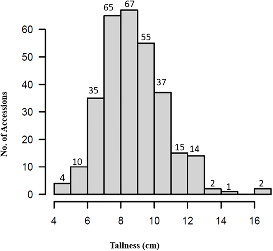Bar graph showing the distribution of tallness in centimeters, with the number of accessions on the vertical axis. Peaks are at eight centimeters with sixty-seven accessions, and lowest at fourteen centimeters with one accession.