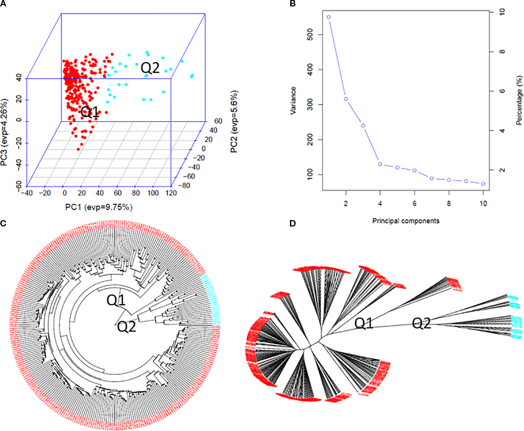 Image displays four panels: A) A 3D PCA plot with red and blue points clustered in quadrants Q1 and Q2, annotated with explained variance percentages. B) A scree plot showing variance against principal components, depicting a steep decline after the first component. C) A circular phylogenetic tree with red and blue colored segments, indicating clusters labeled Q1 and Q2. D) A radial phylogenetic tree with clear clustering, similar color coding, distinguishing Q1 and Q2 regions.