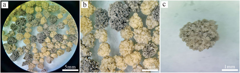 Three panels labeled a, b, and c show varying magnifications of a granular substance. Panel a displays multiple clusters in a 5 millimeter view, with yellow and gray tones. Panel b gives a closer 2 millimeter view, showing fewer clusters with more distinct colors. Panel c focuses on a single 1 millimeter gray cluster.