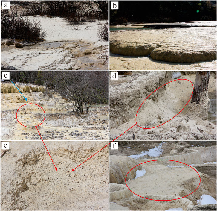 Six-part image showing a natural landscape with sediment formations. Panel (a) depicts dry terrain with sparse vegetation. Panel (b) shows a flat, sediment-covered area. Panel (c) highlights layered deposits with marked area. Panel (d) focuses on a concave formation in sediment. Panel (e) presents a close-up of sediment texture. Panel (f) displays a sedimentary platform with snow.