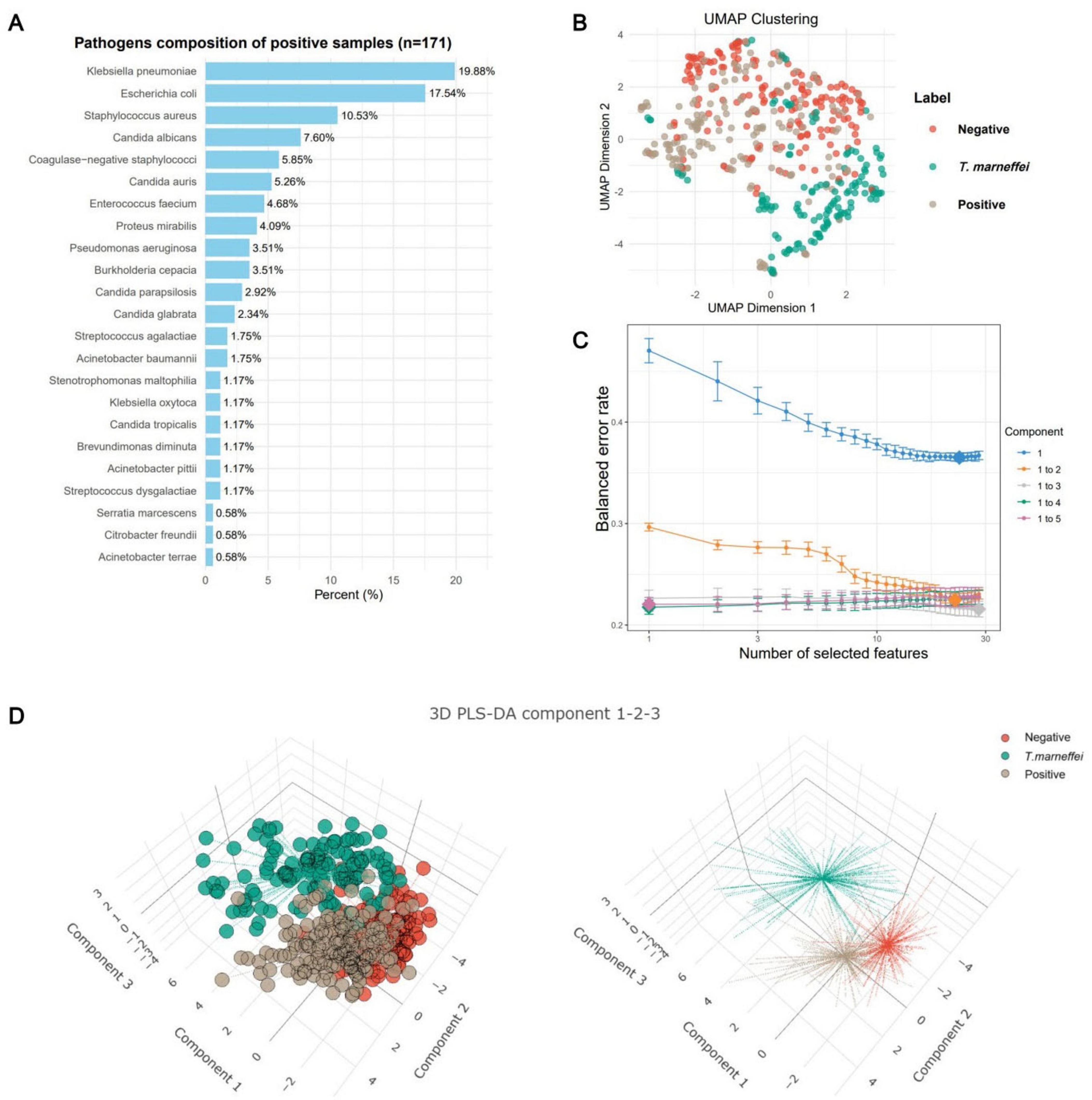 Chart displaying four panels of microbiological data analysis. Panel A shows a bar graph of pathogen composition in samples, with Klebsiella pneumoniae being most prevalent. Panel B presents a UMAP clustering plot, differentiating negative, T. marneffei, and positive samples. Panel C is a line graph showing balanced error rate versus number of selected features, with multiple component lines. Panel D displays a 3D PLS-DA plot with three components, indicating distribution of the same sample groups.